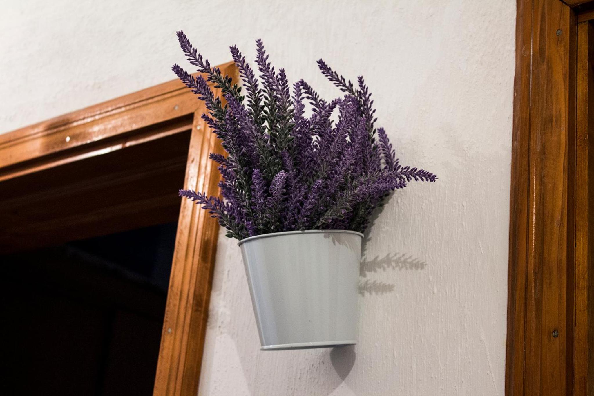 Kuća Lavanda