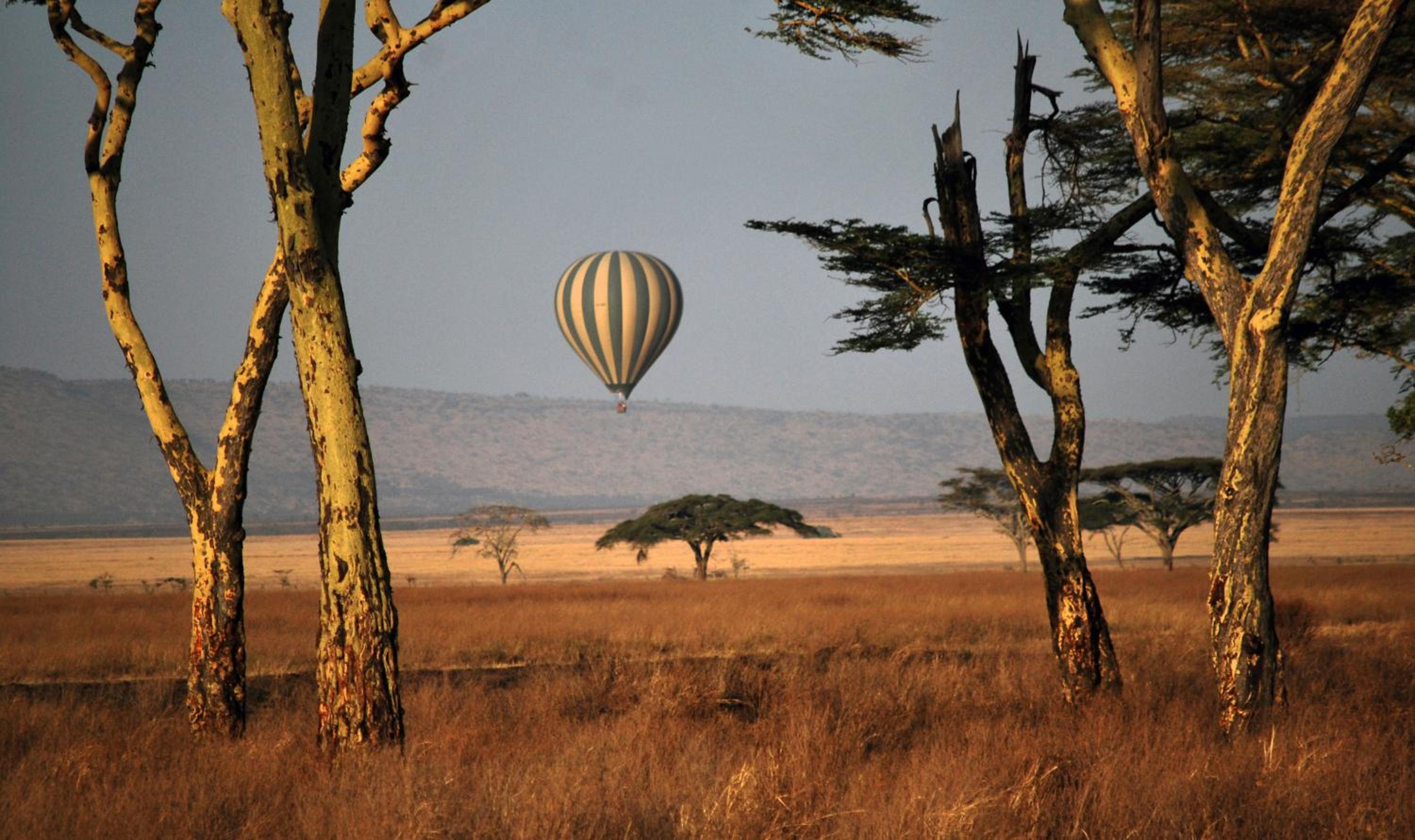 Masai Mara Vacations - Neptune Mara Rianta Luxury Camp - All Inclusive. - Property Image 12