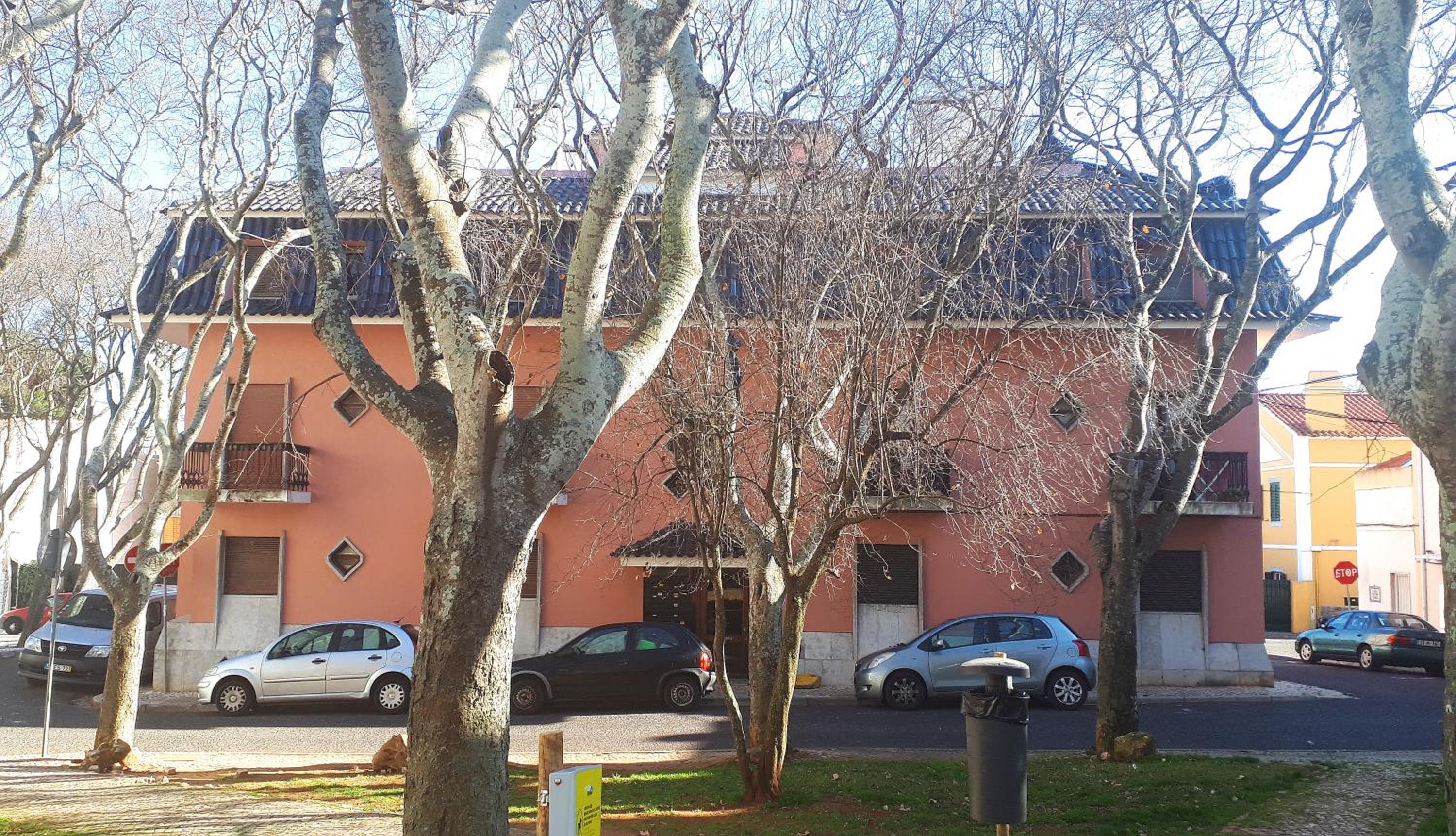 Photo 25