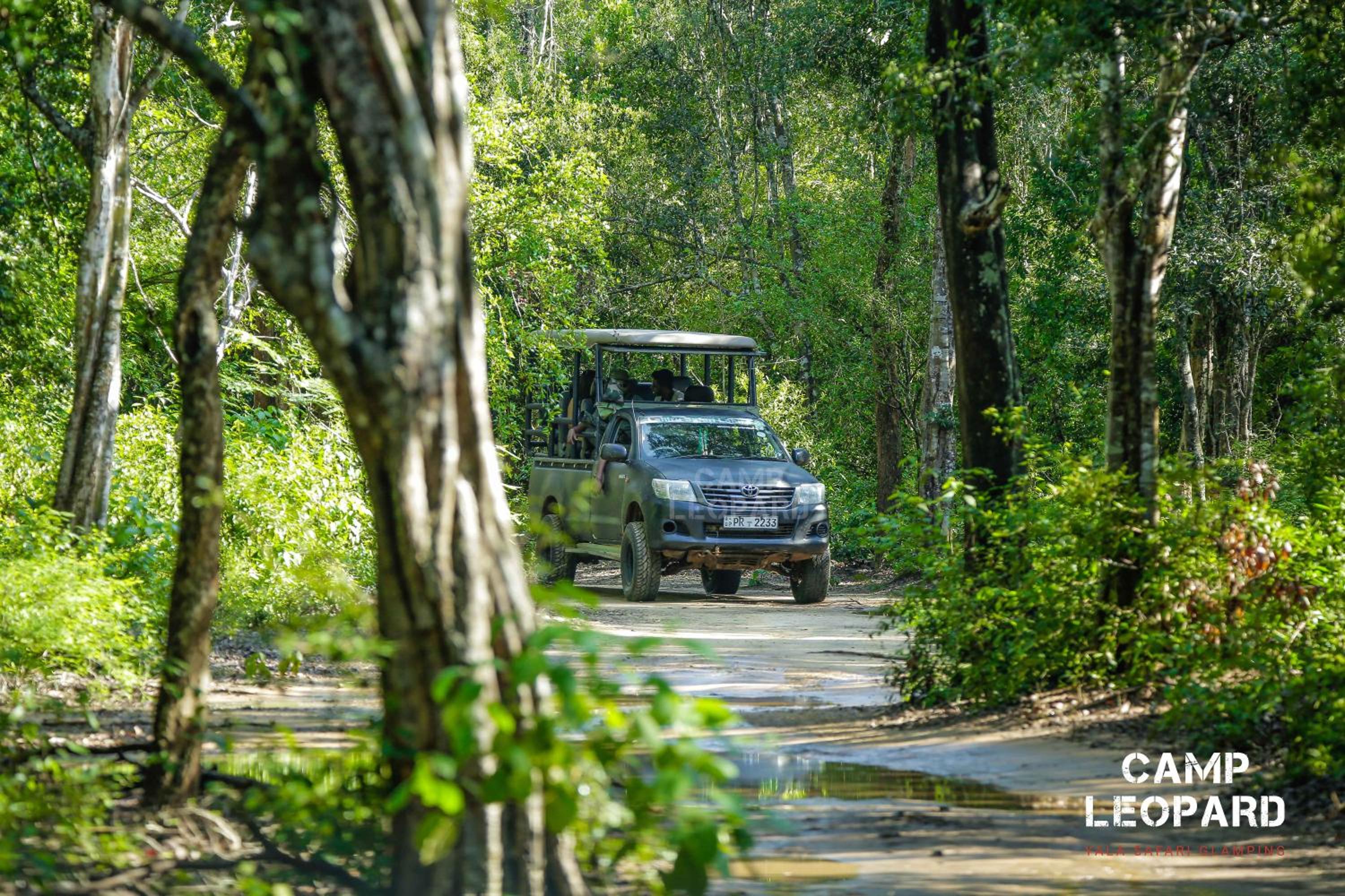 Camp Leopard - Yala Safari Glamping