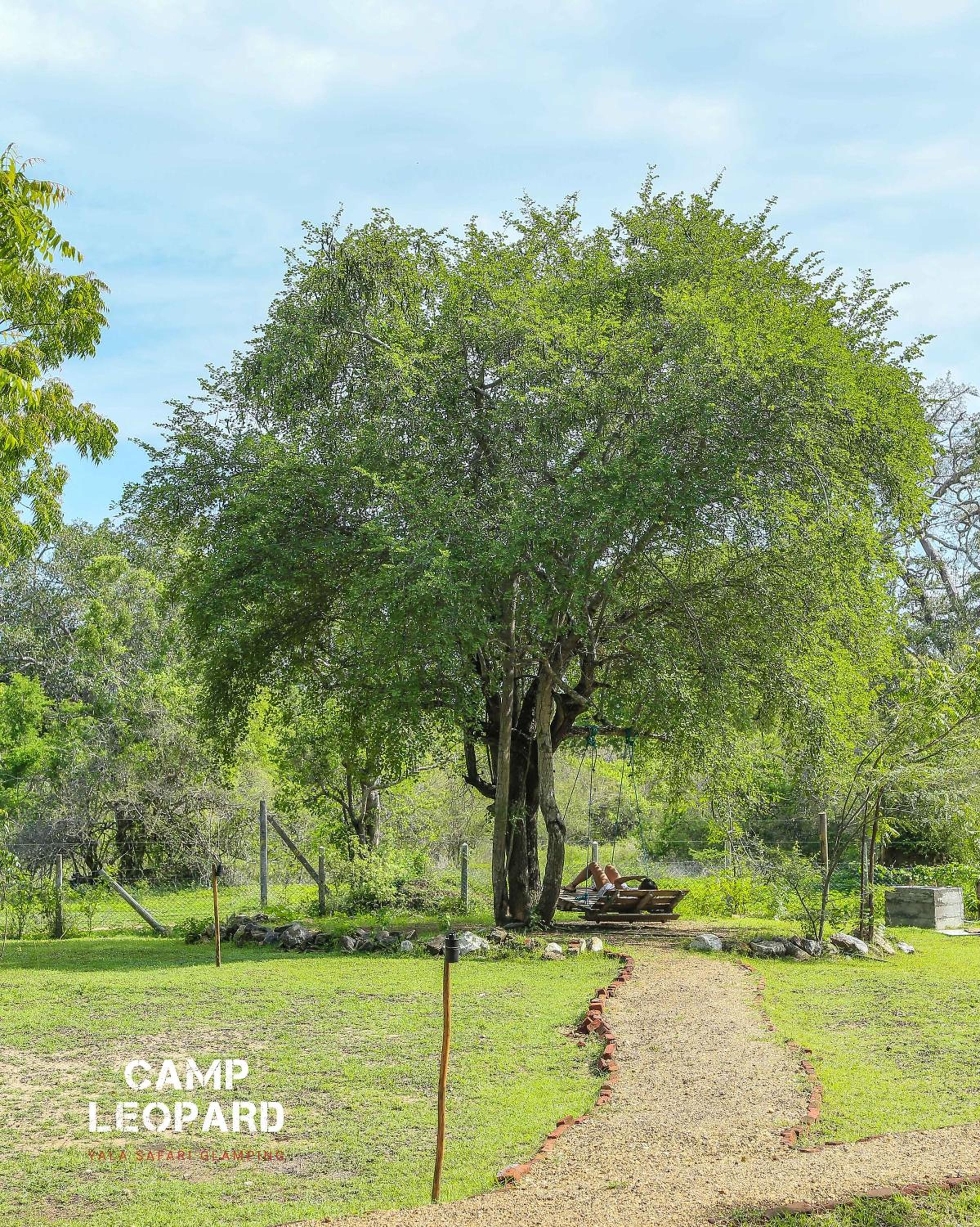 Camp Leopard - Yala Safari Glamping