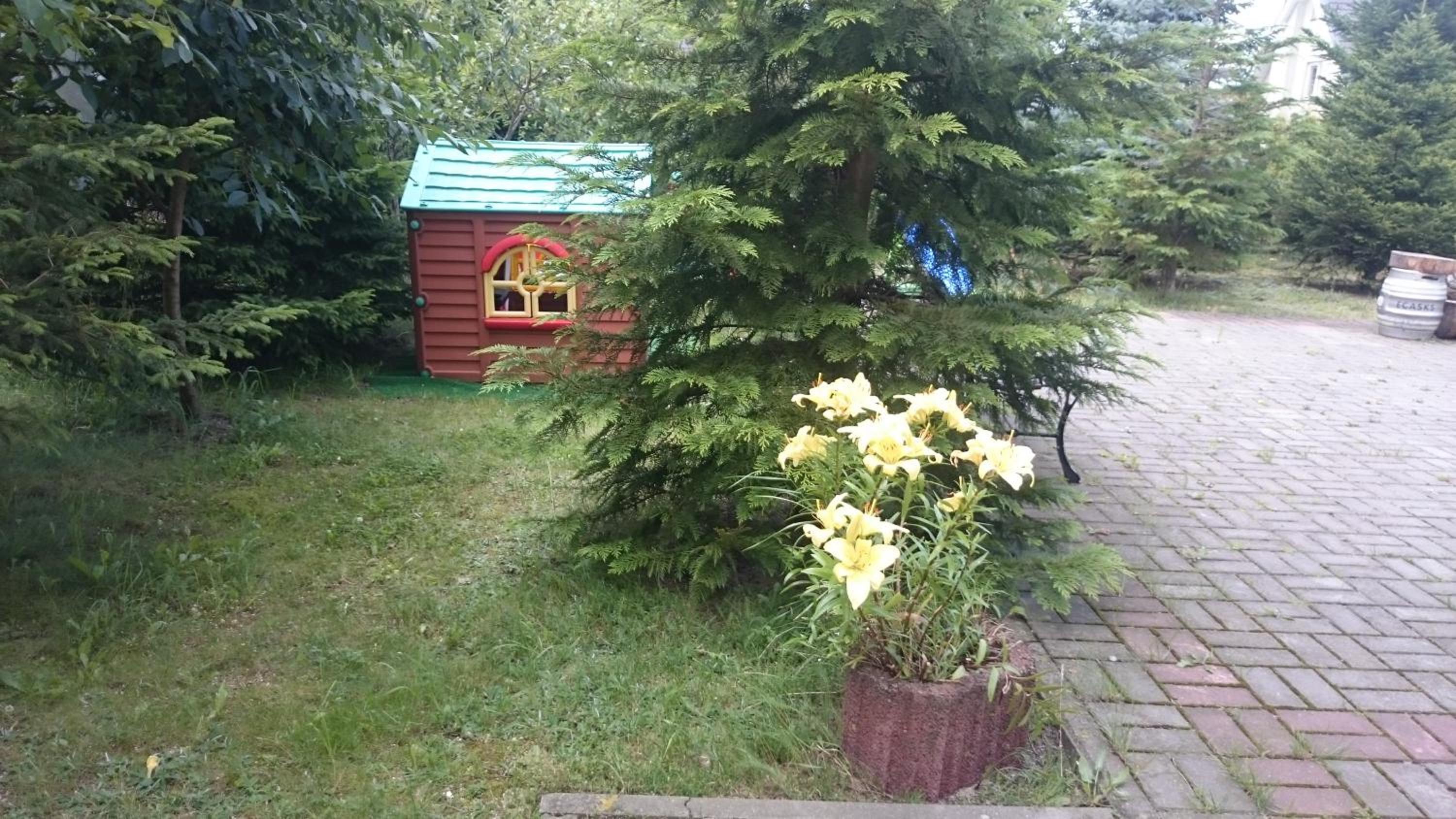 Photo 16