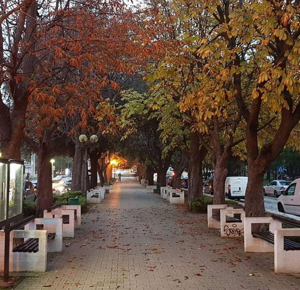 Apartment Botic - Property Image 11