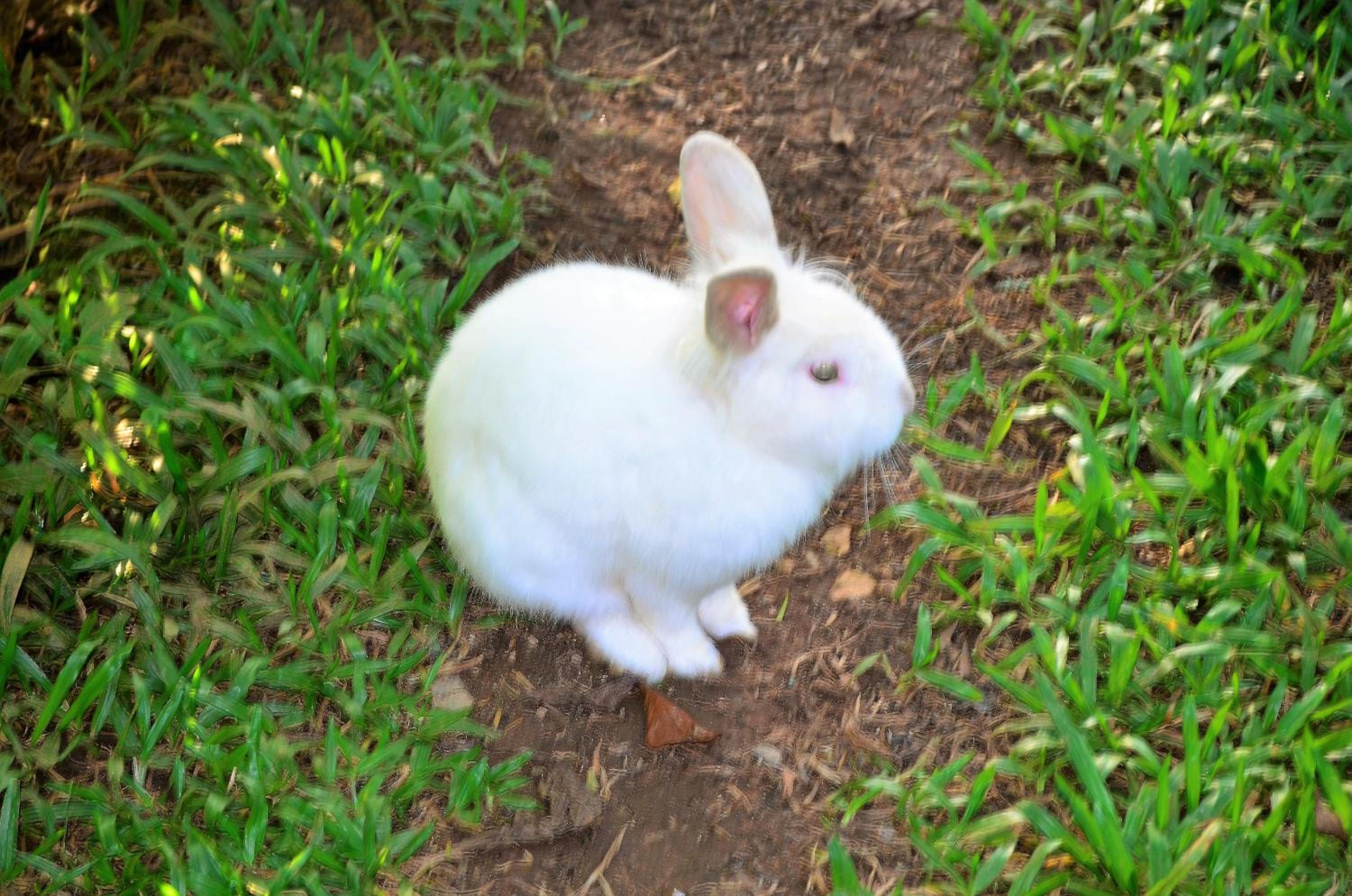 Pousada Toca Da Coruja