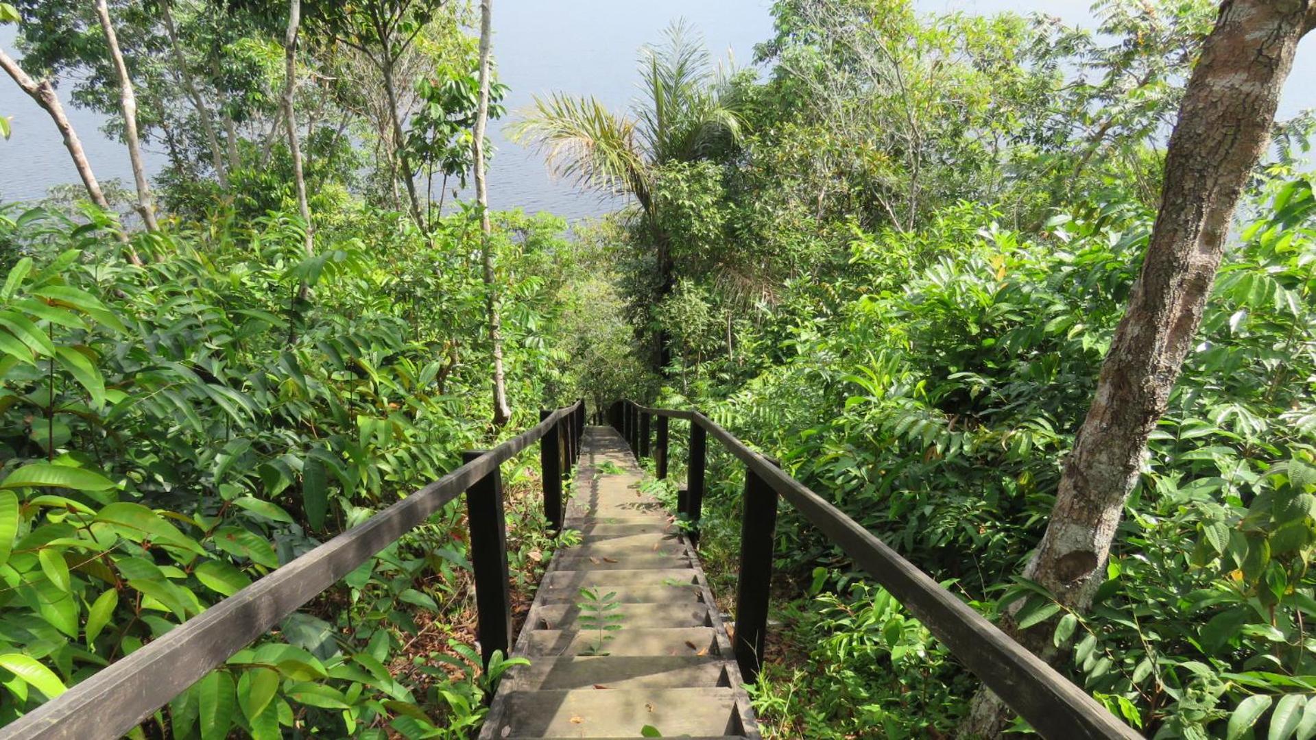 Alta Vista Amazon Lodge