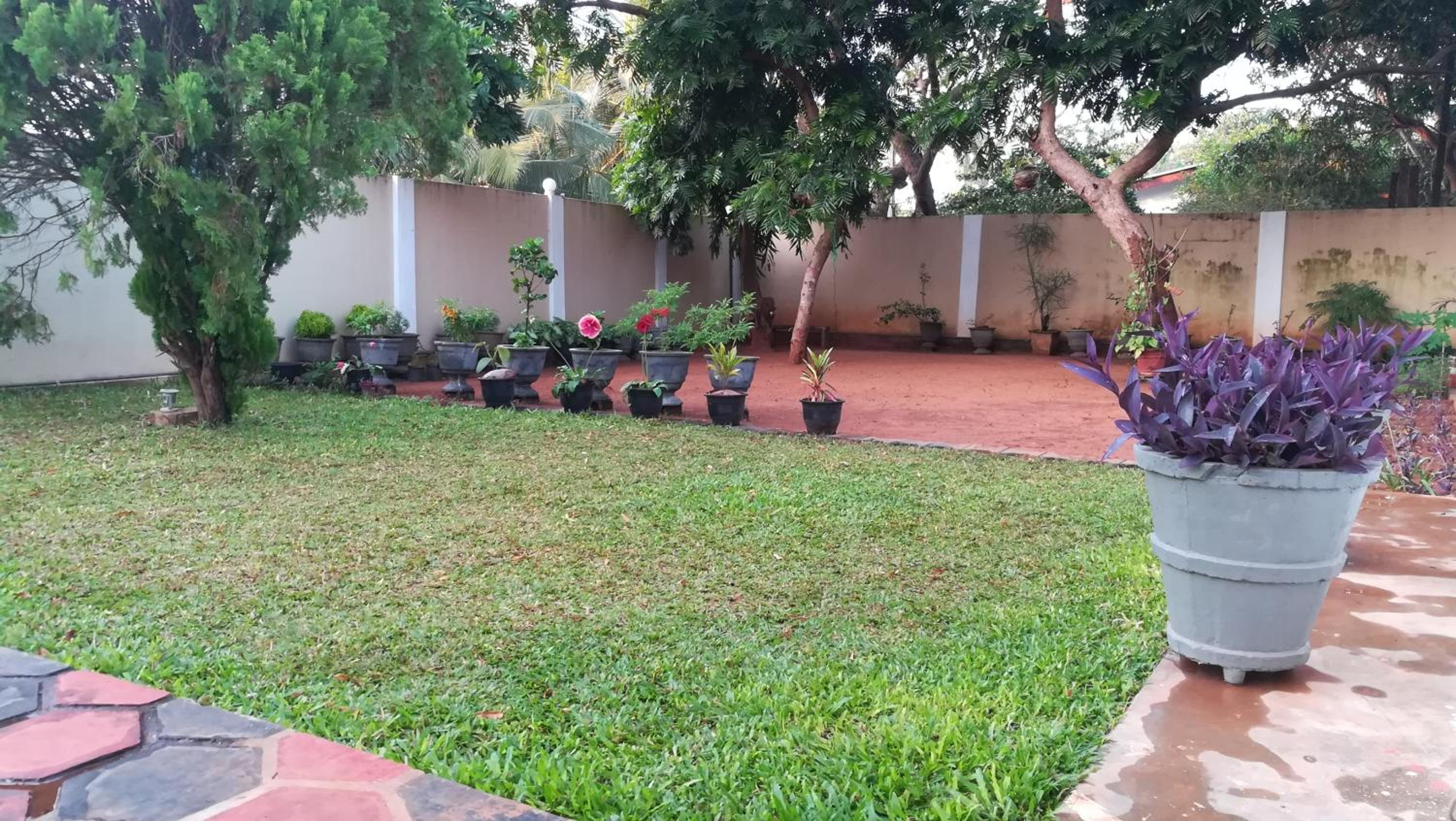 Dayanithi Guest House