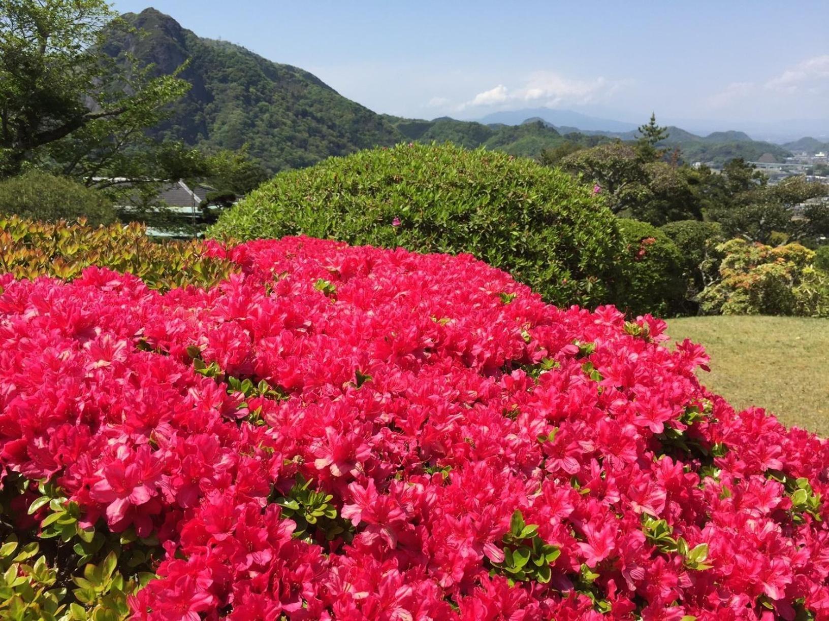 Ohito Hotel