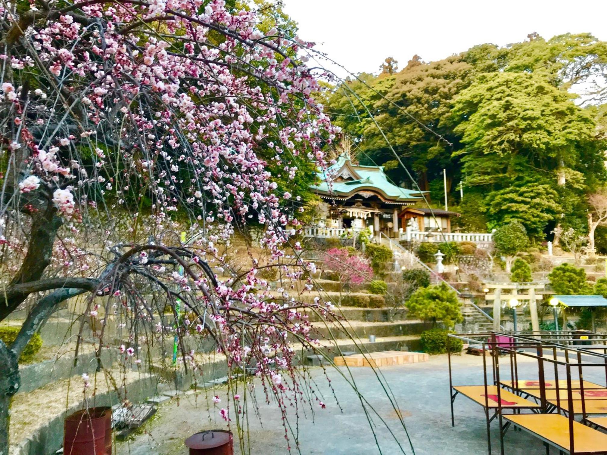 Ohito Hotel