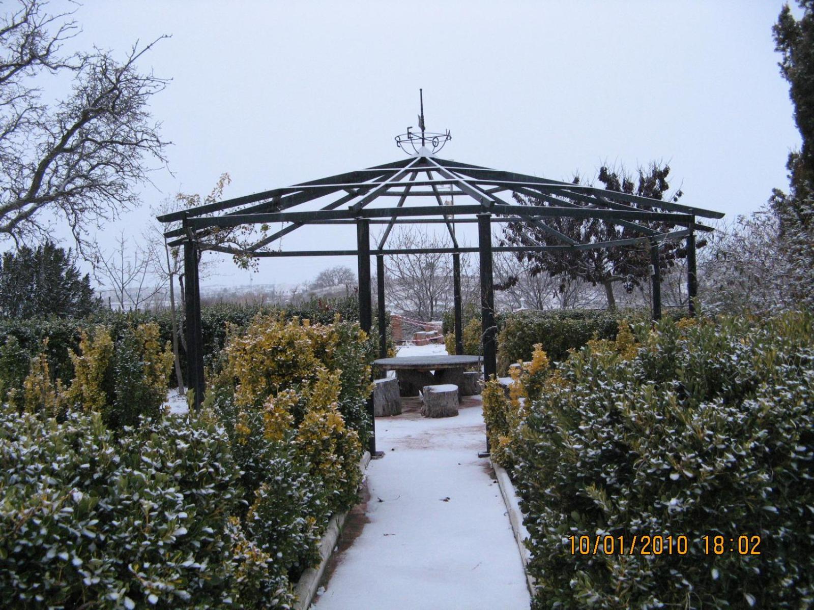 Photo 40