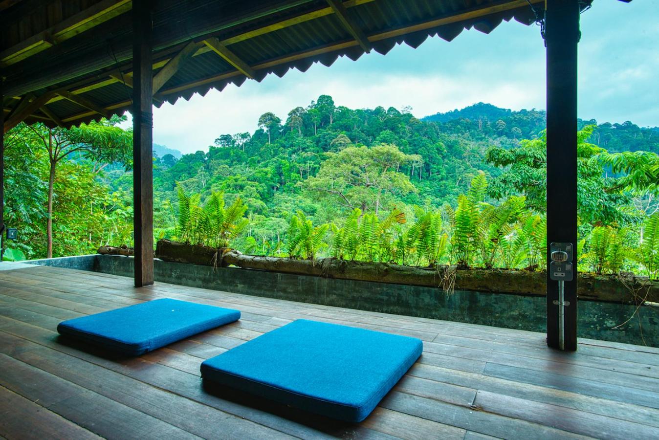 The Dusun
