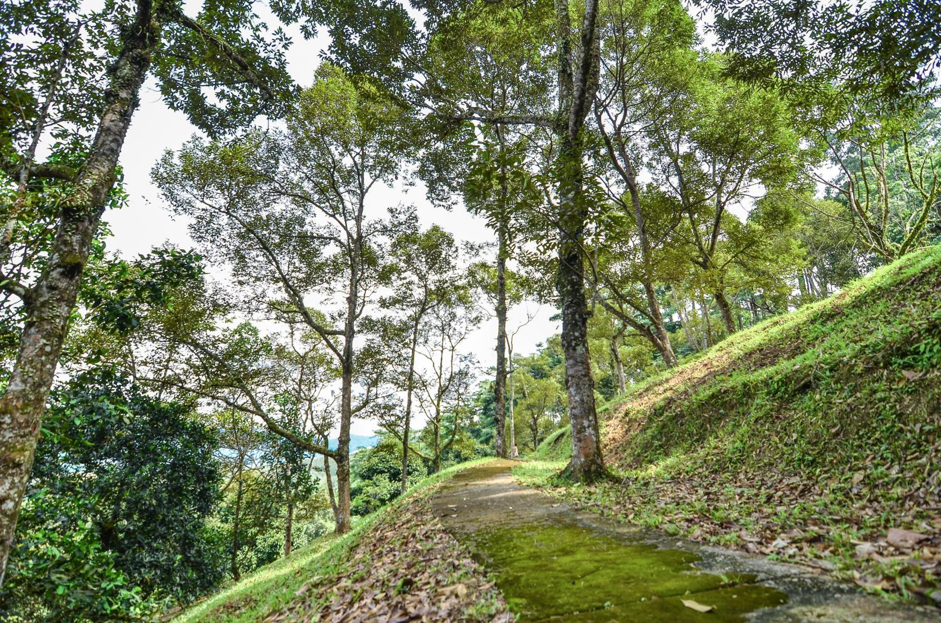 The Dusun