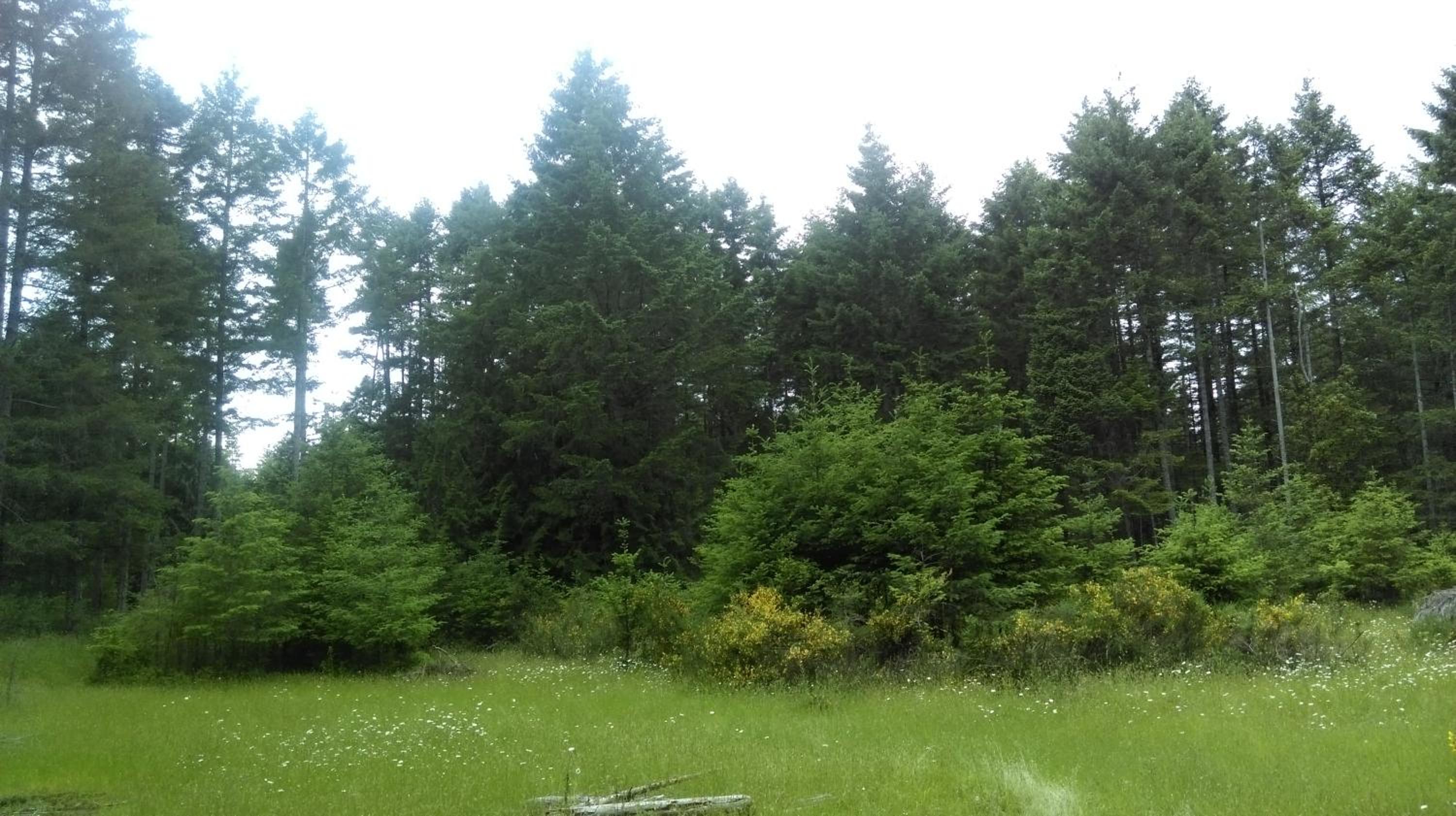 Gabriola Central B&B