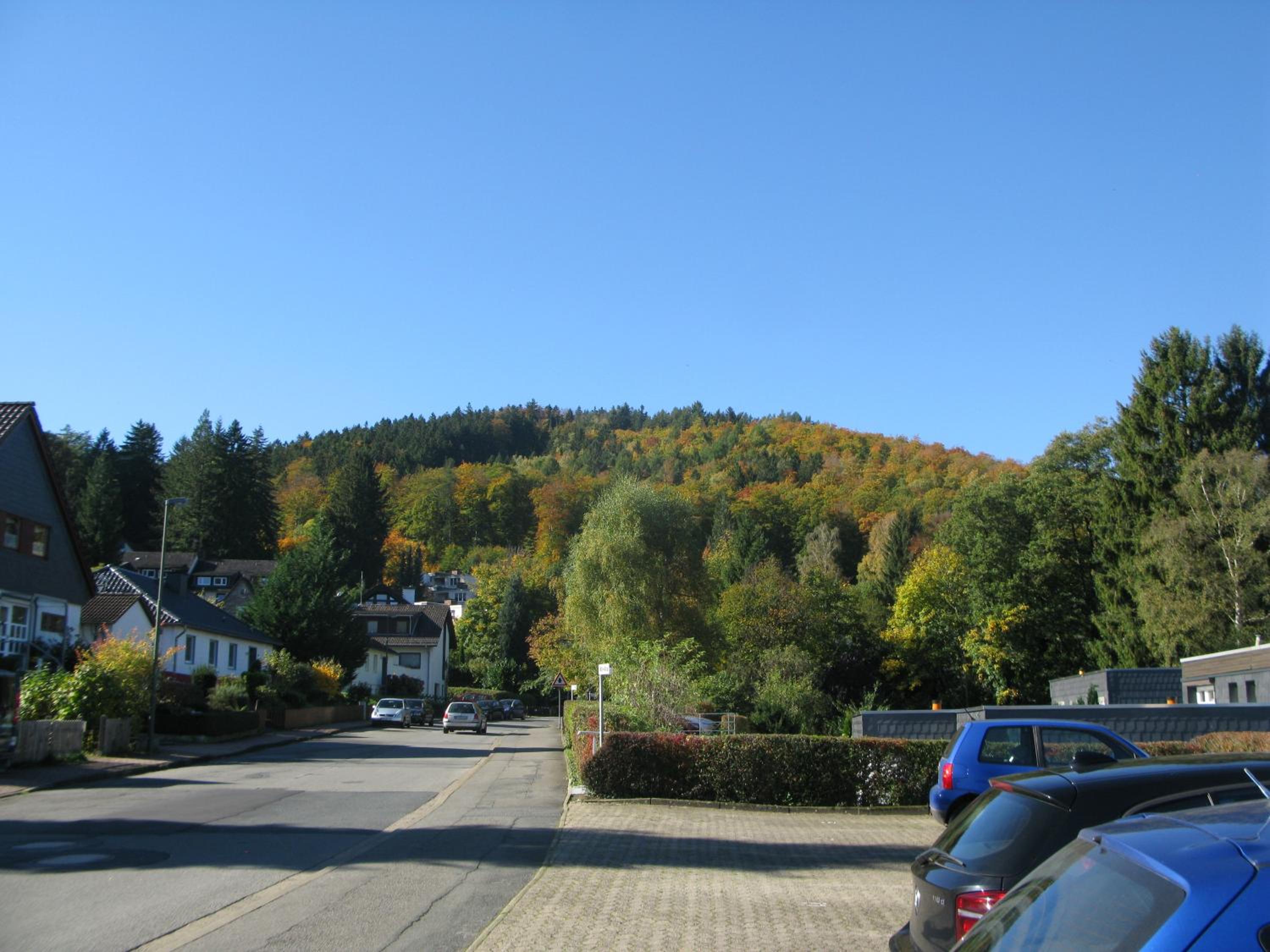 Bergblüte