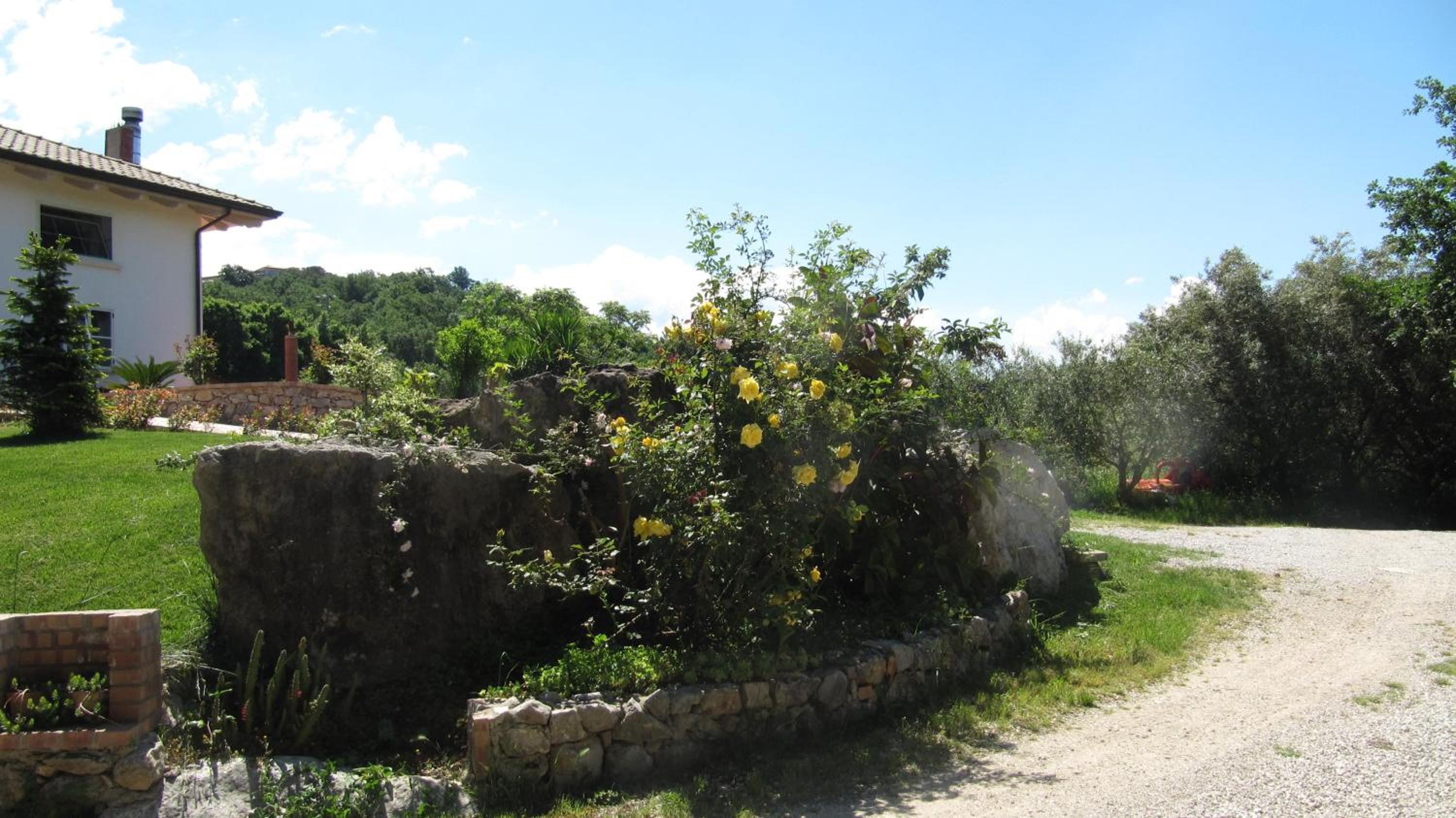 B&B Macchia d'Olmo