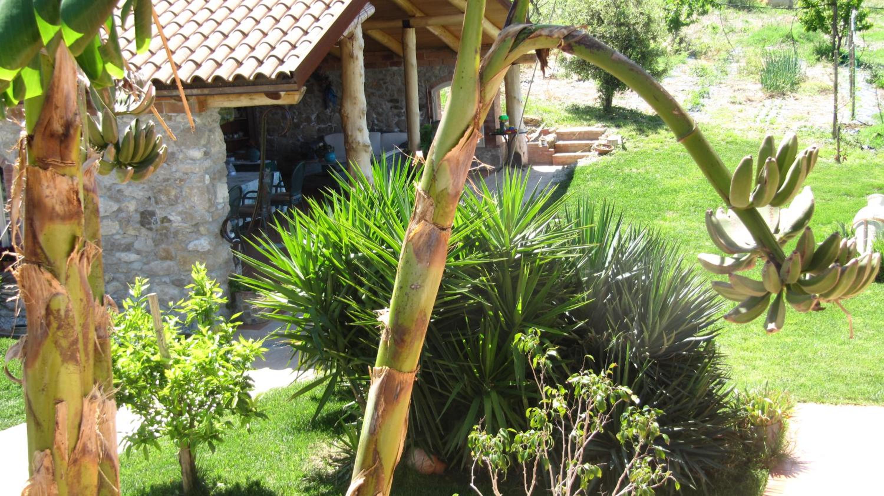 B&B Macchia d'Olmo