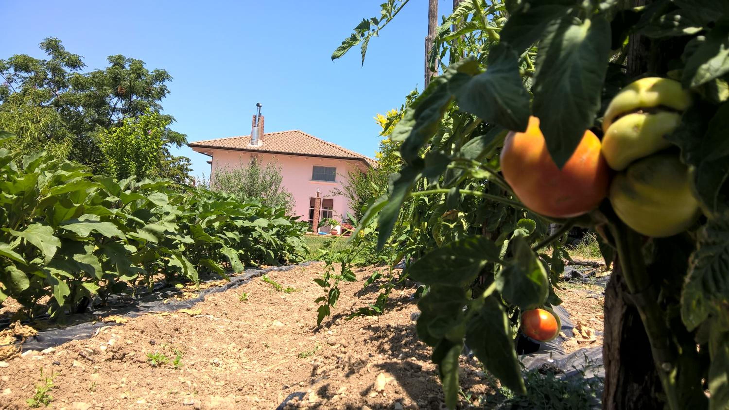 B&B Macchia d'Olmo