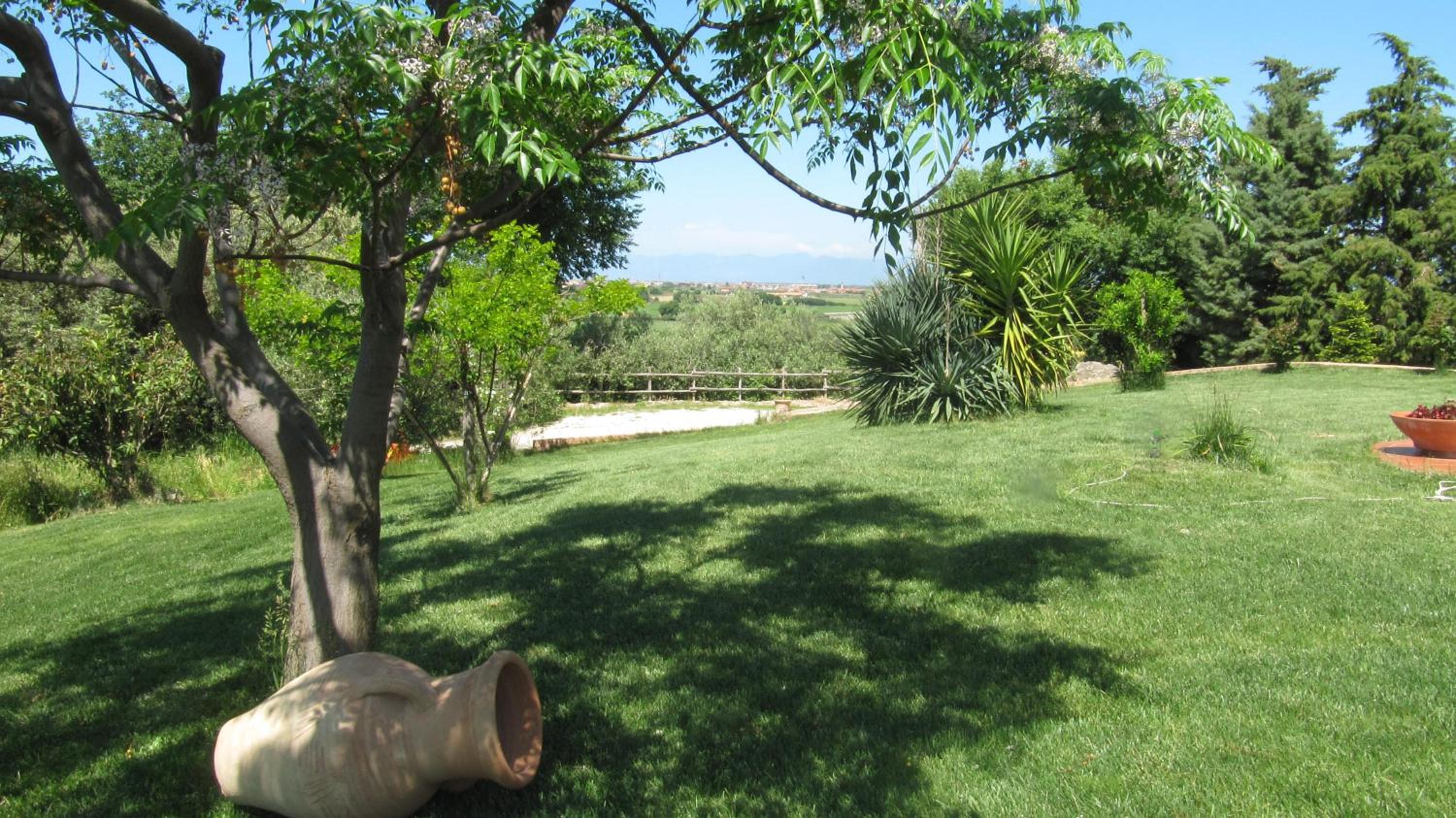 B&B Macchia d'Olmo
