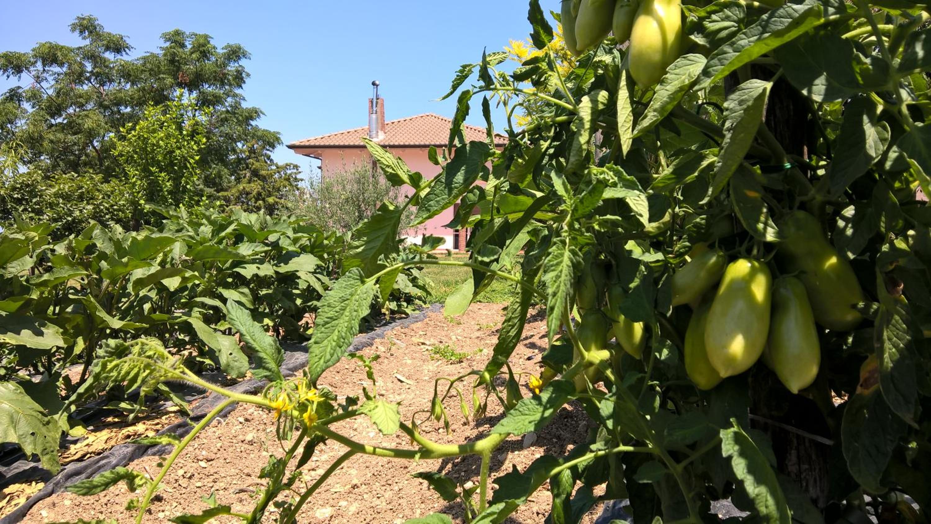 B&B Macchia d'Olmo