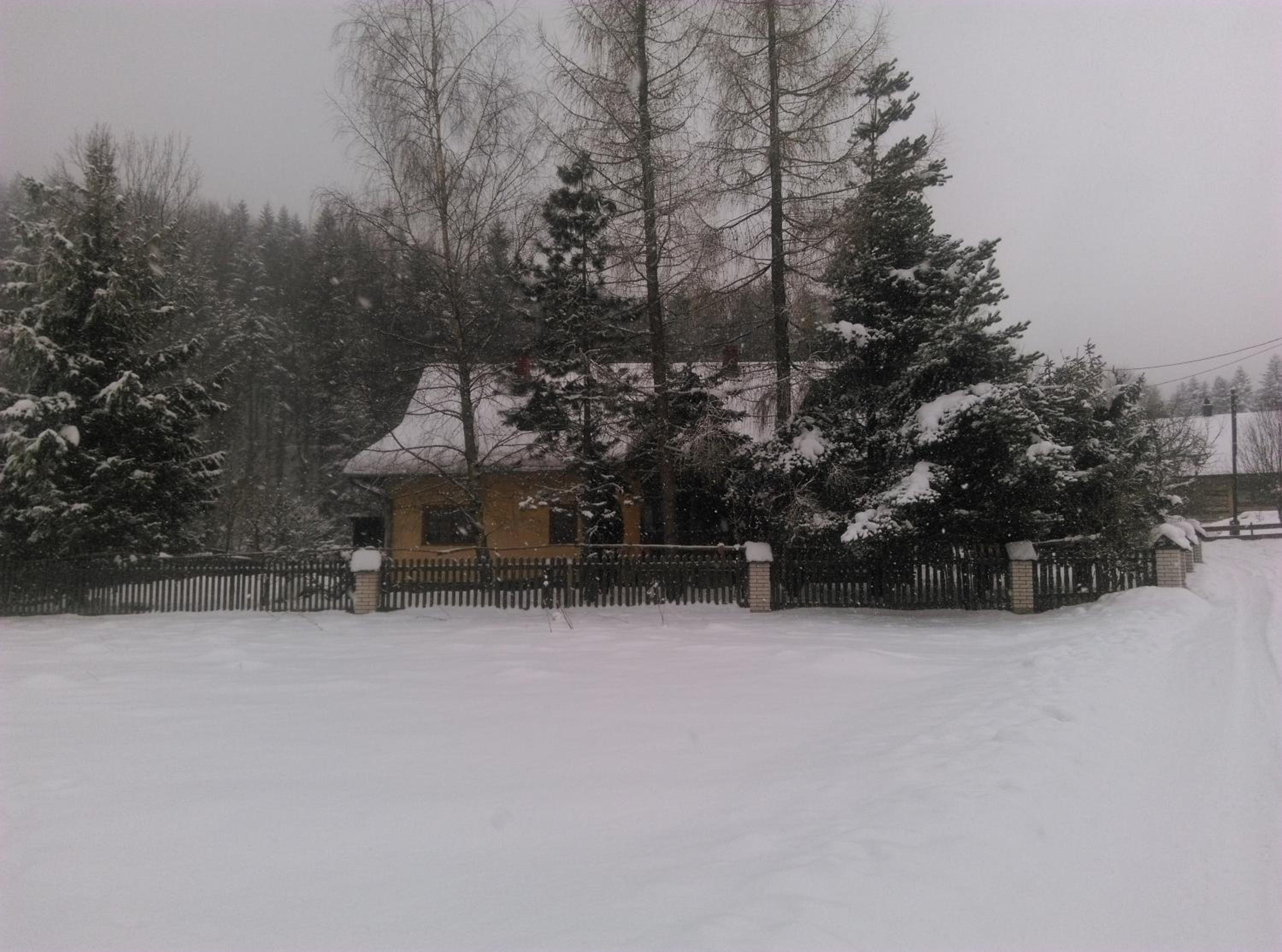 Photo 31