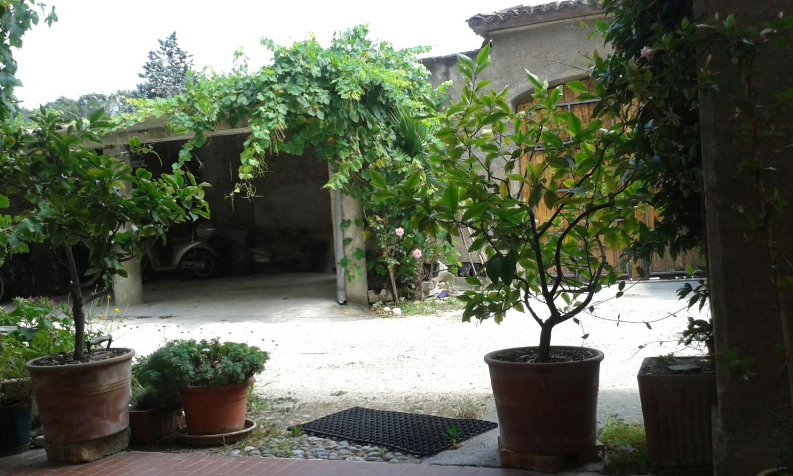 Photo 7