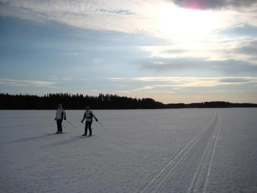 Photo 31