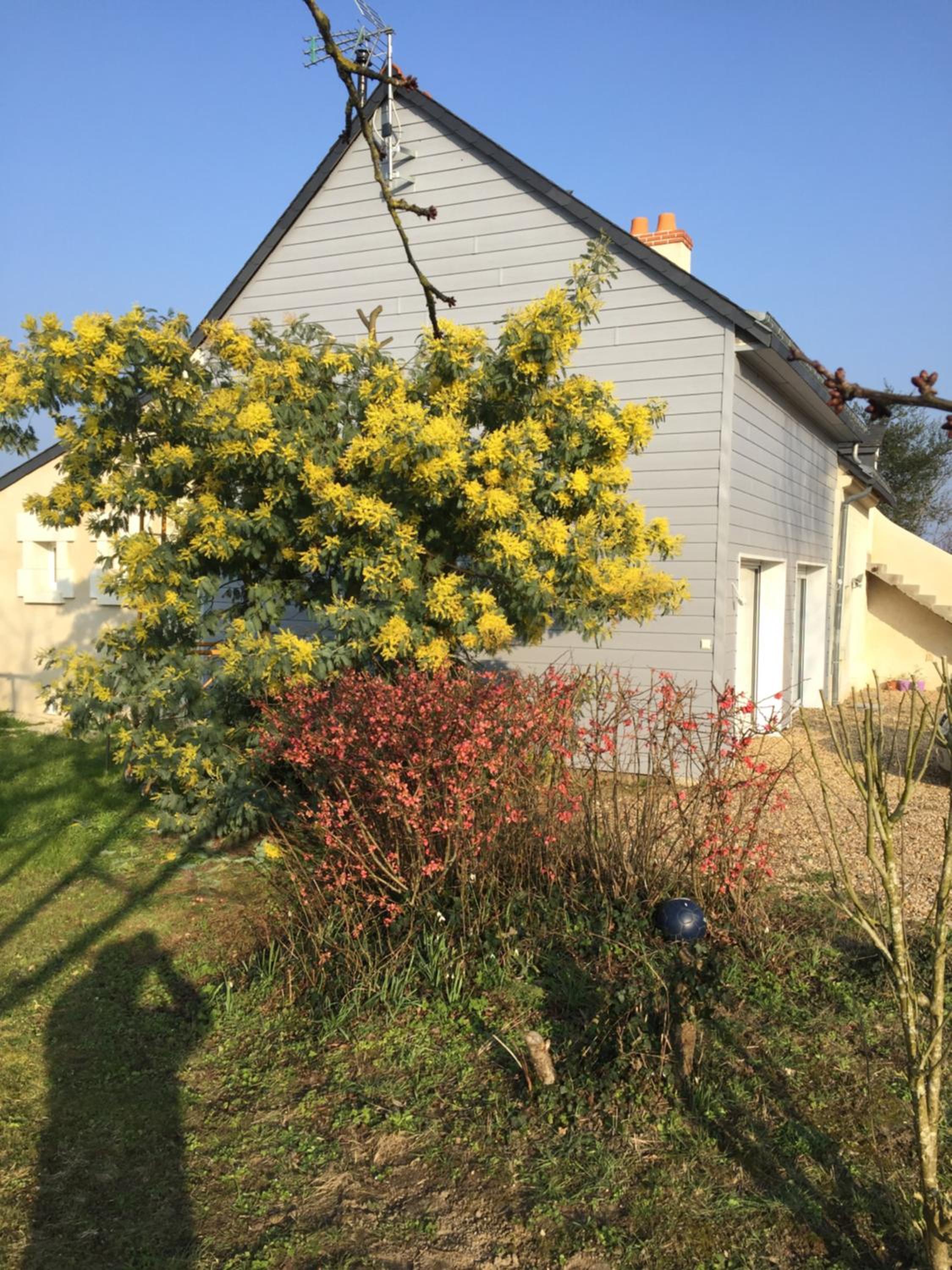 Gîte dans le vignoble de Bourgueil