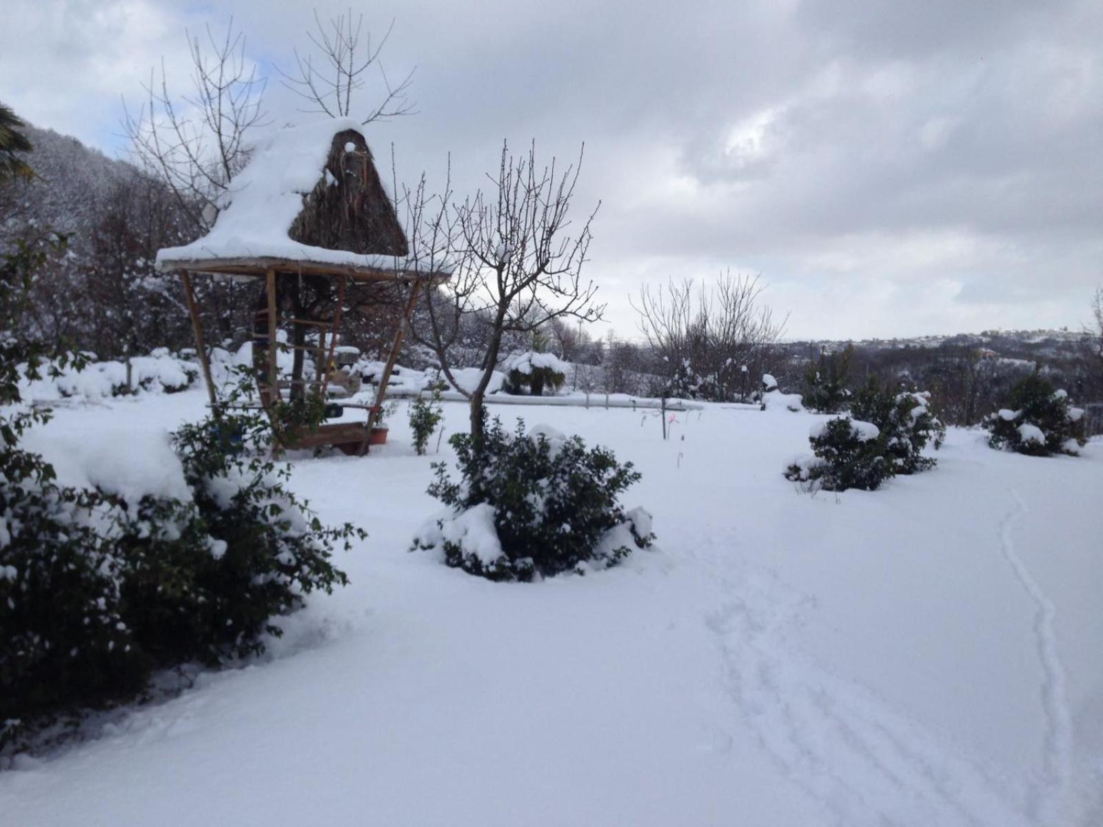 Photo 15