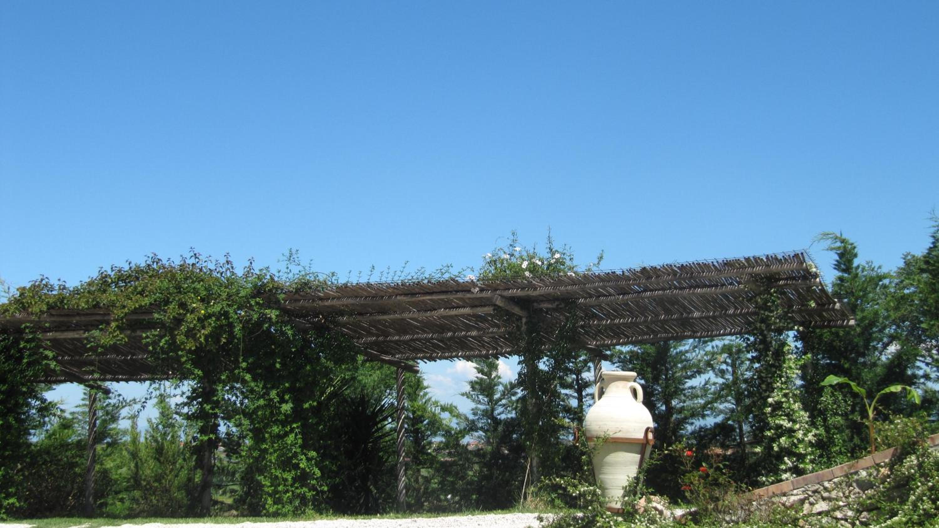 B&B Macchia d'Olmo