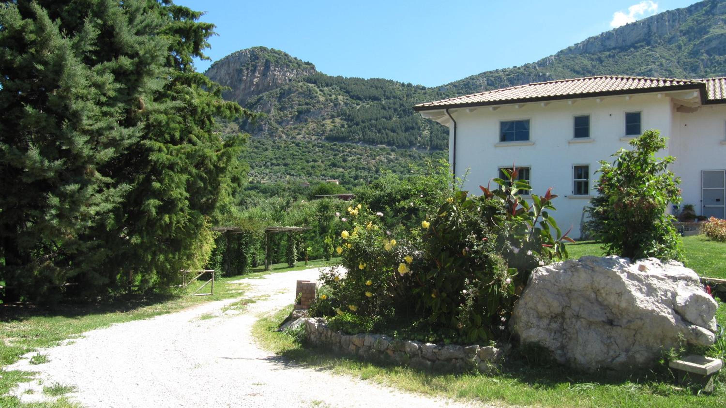 B&B Macchia d'Olmo