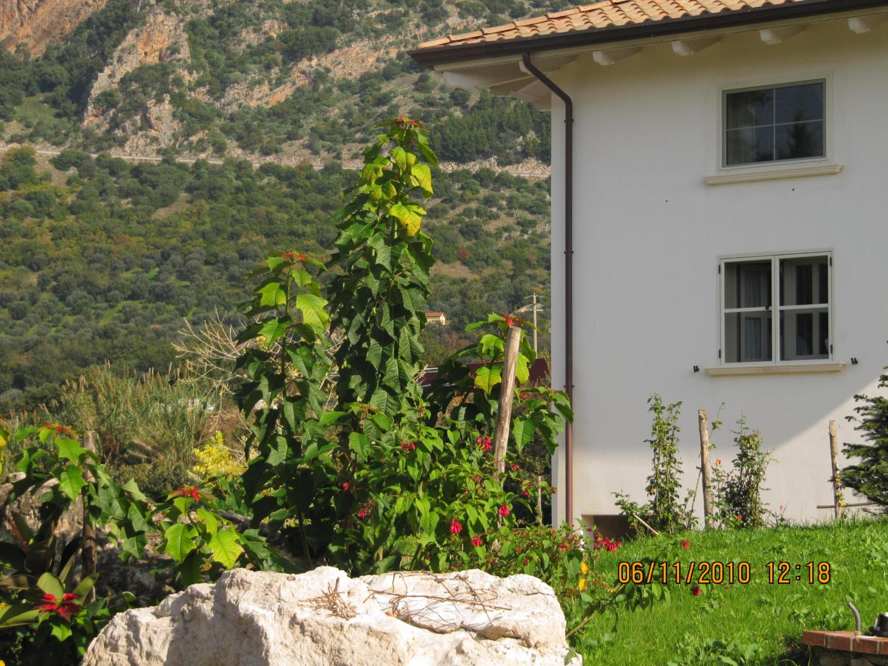 B&B Macchia d'Olmo