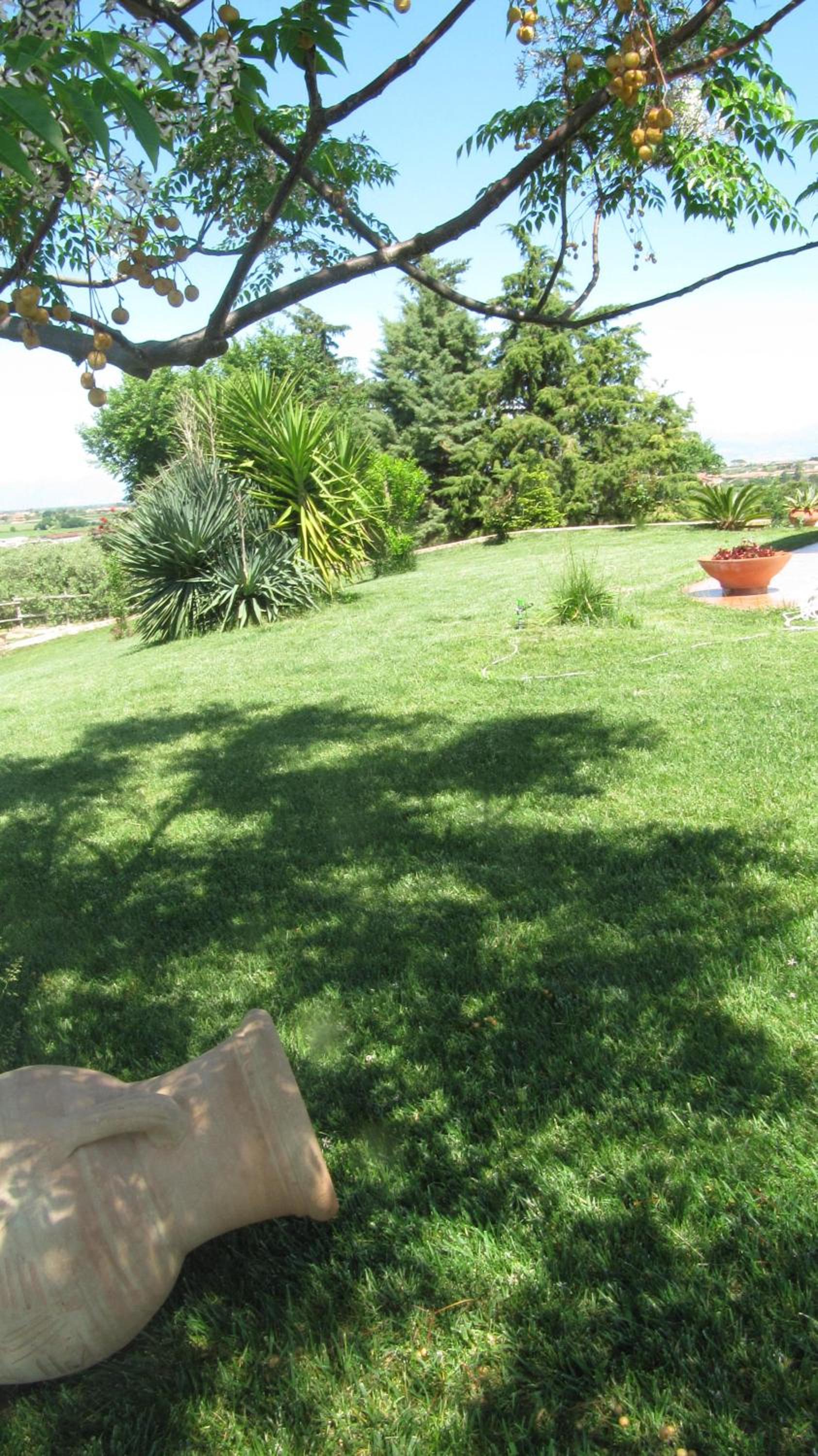 B&B Macchia d'Olmo