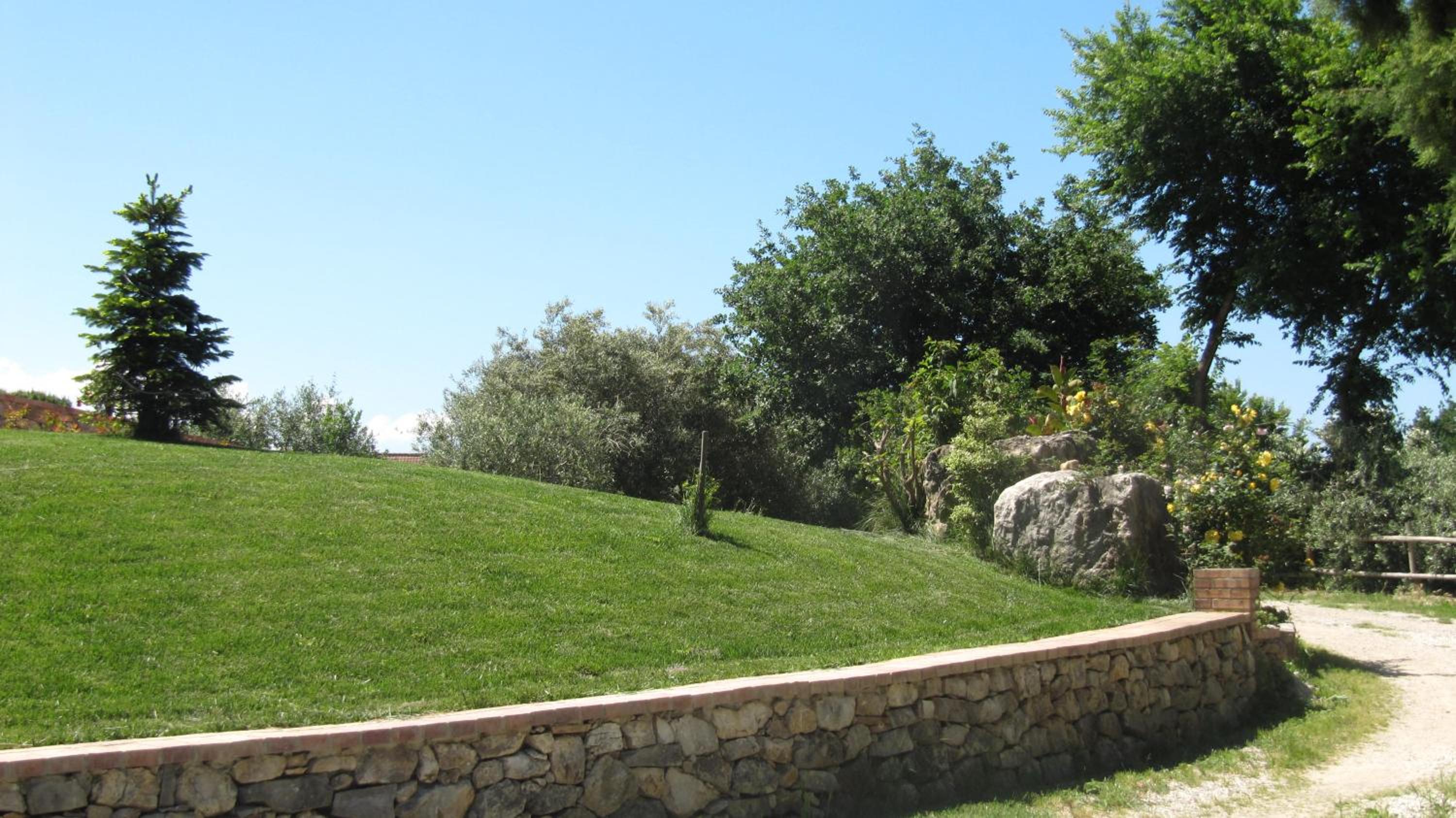 B&B Macchia d'Olmo