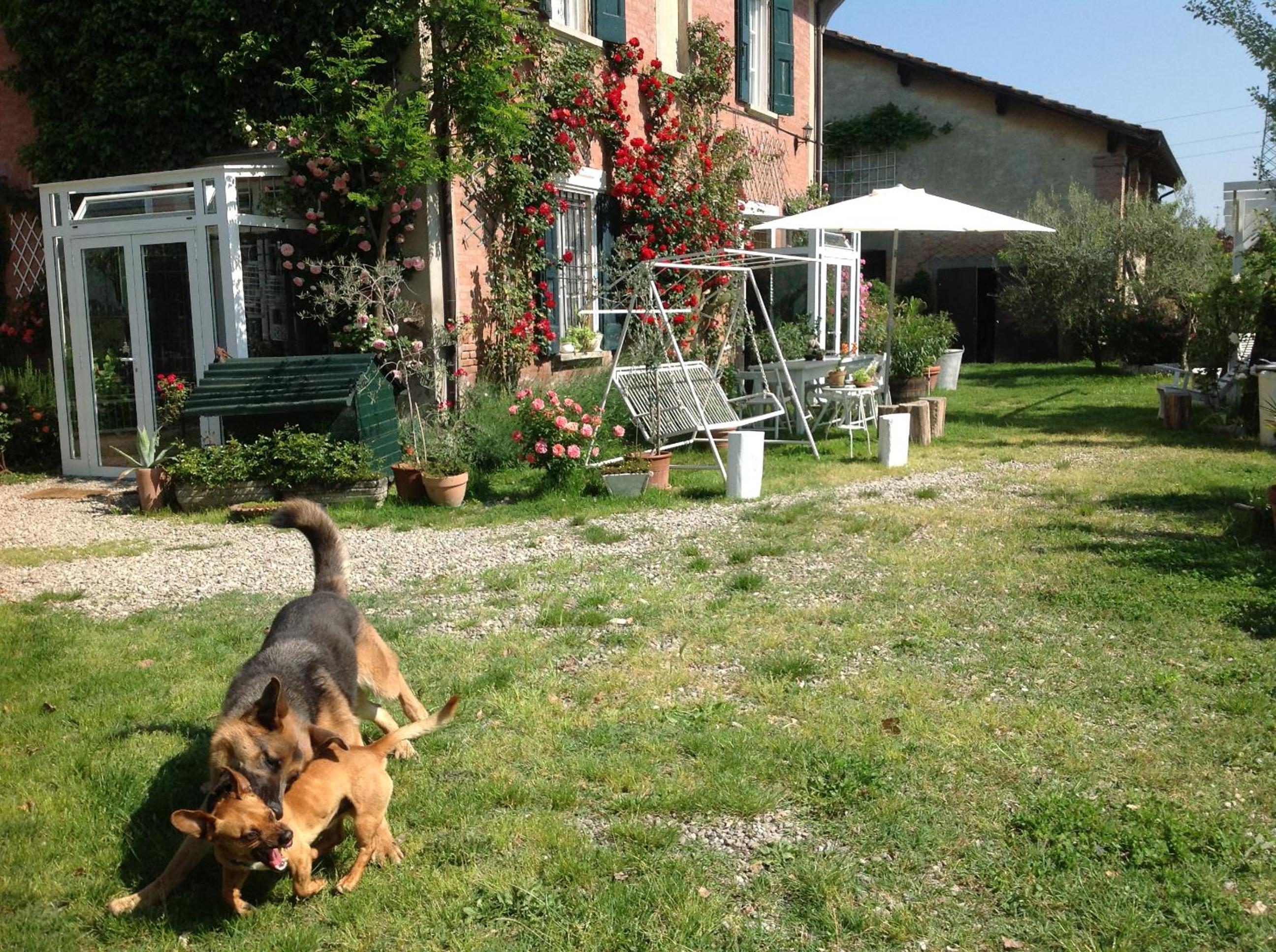Photo 31