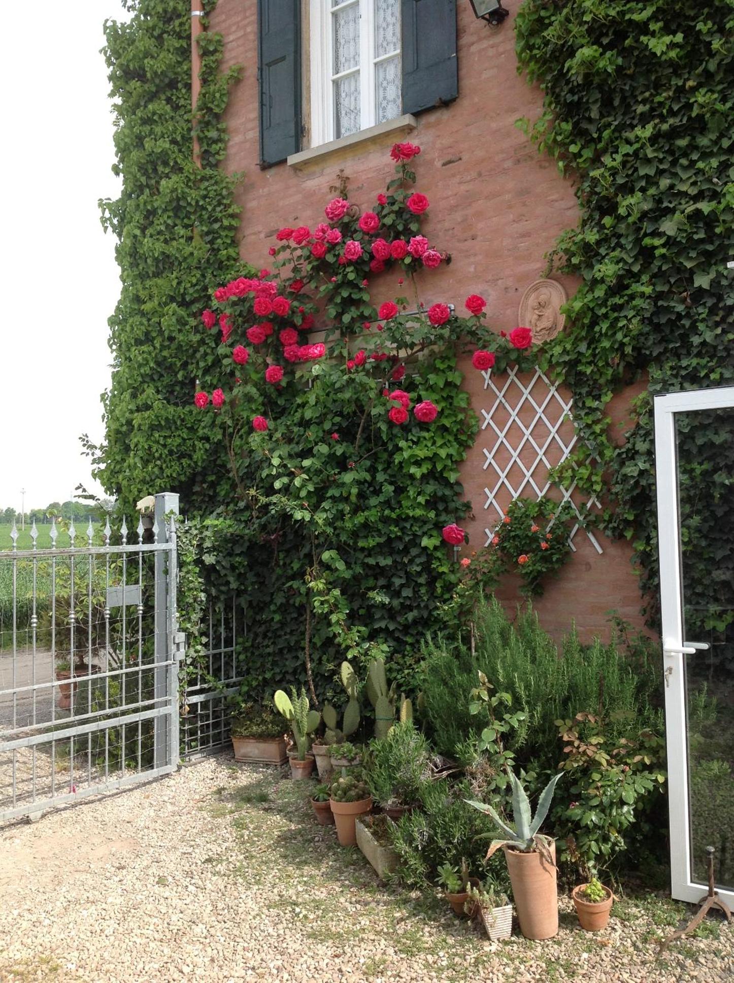 Photo 35