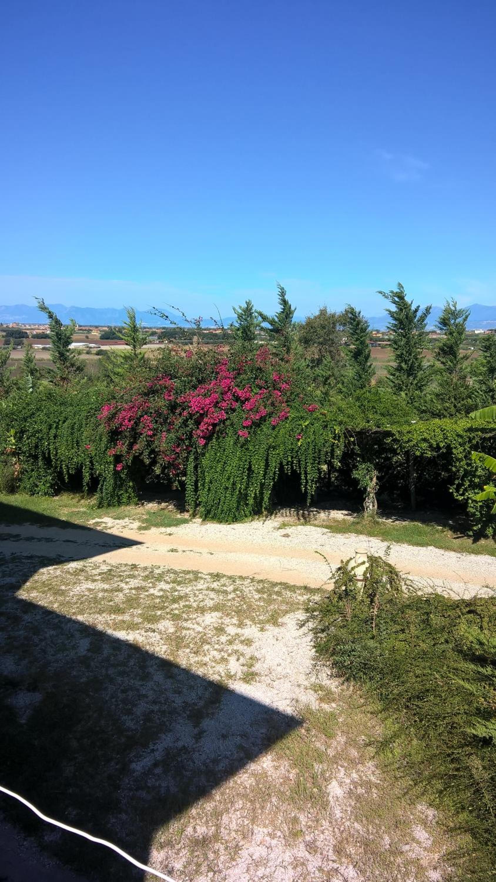 B&B Macchia d'Olmo
