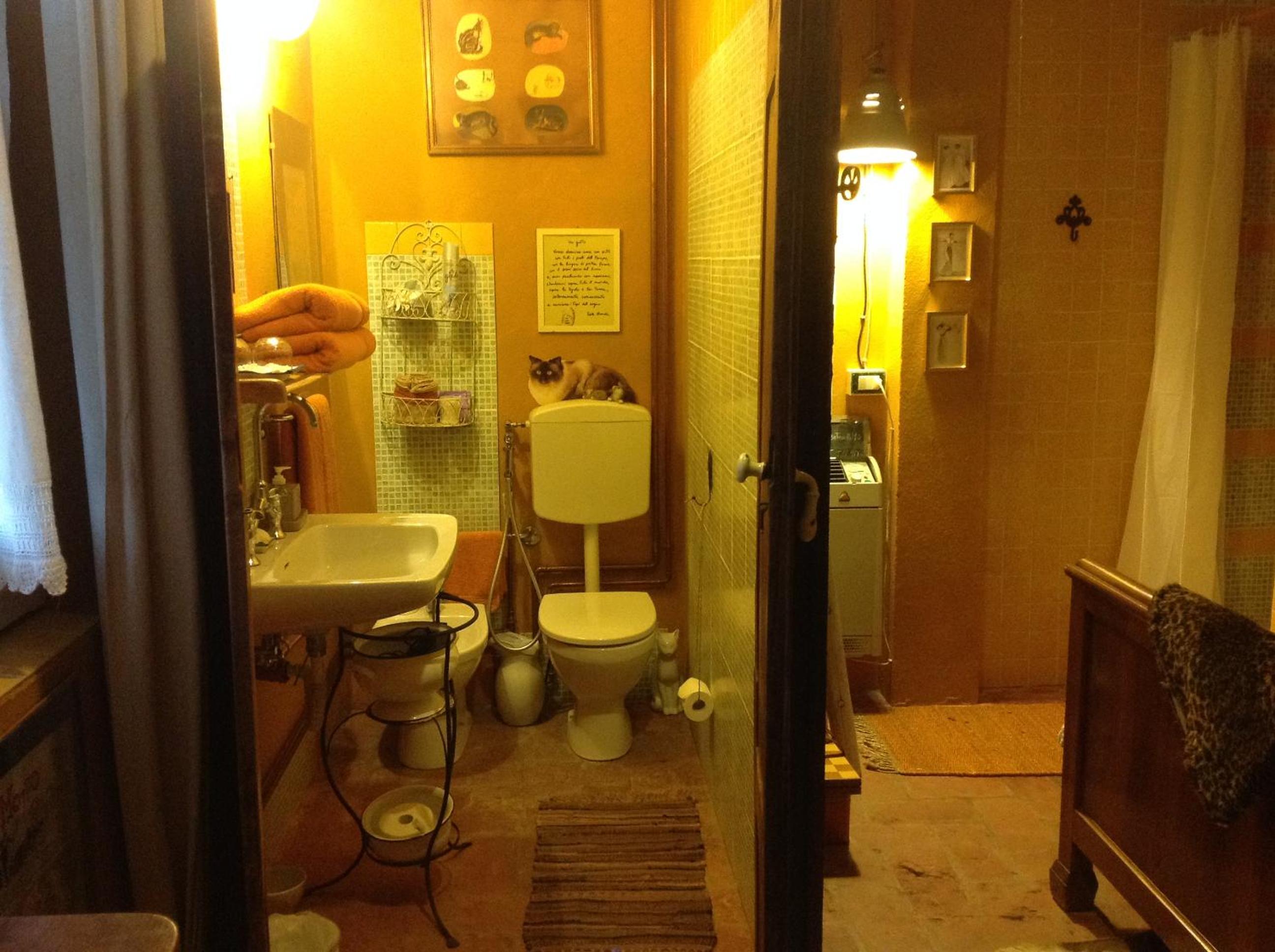 Photo 27