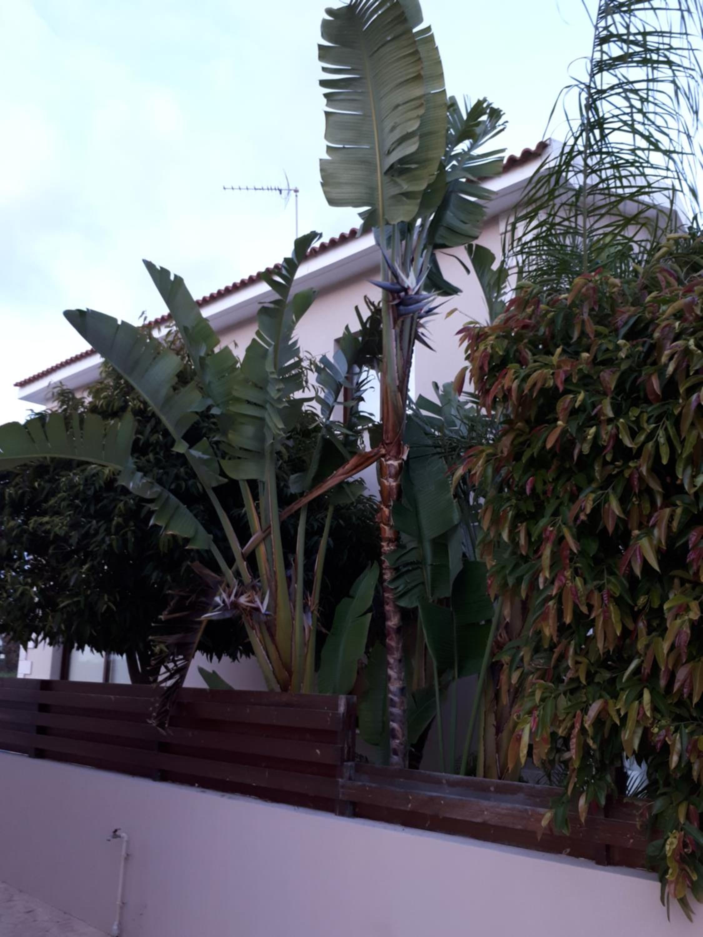 Marias Villa