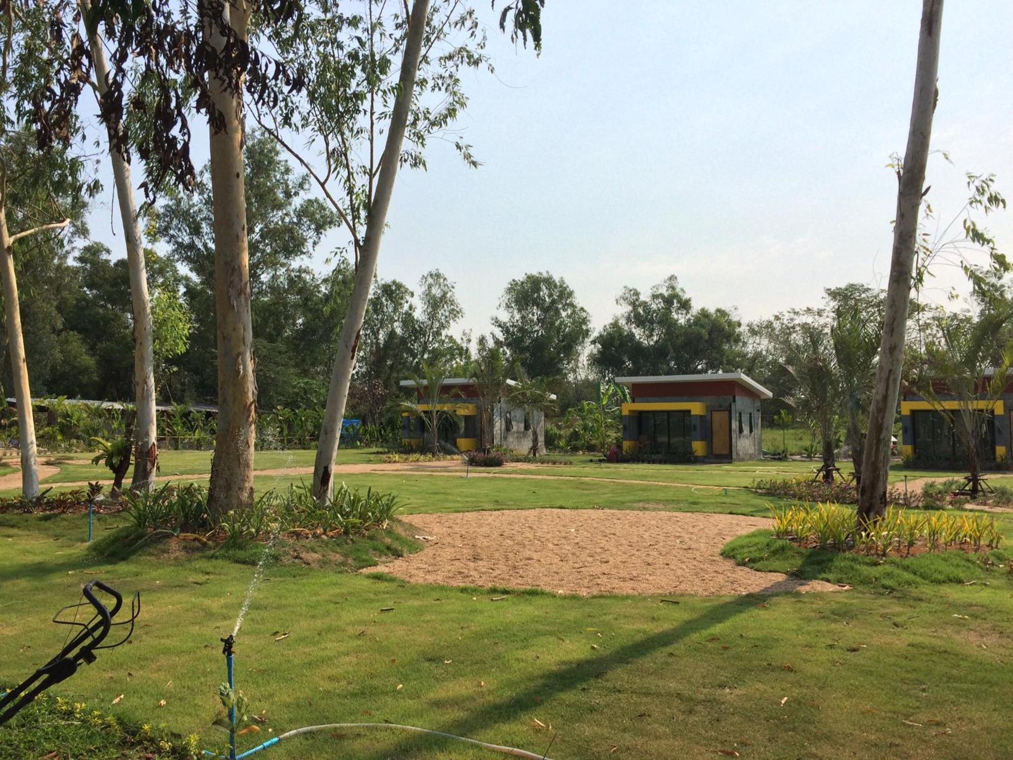 Photo 31