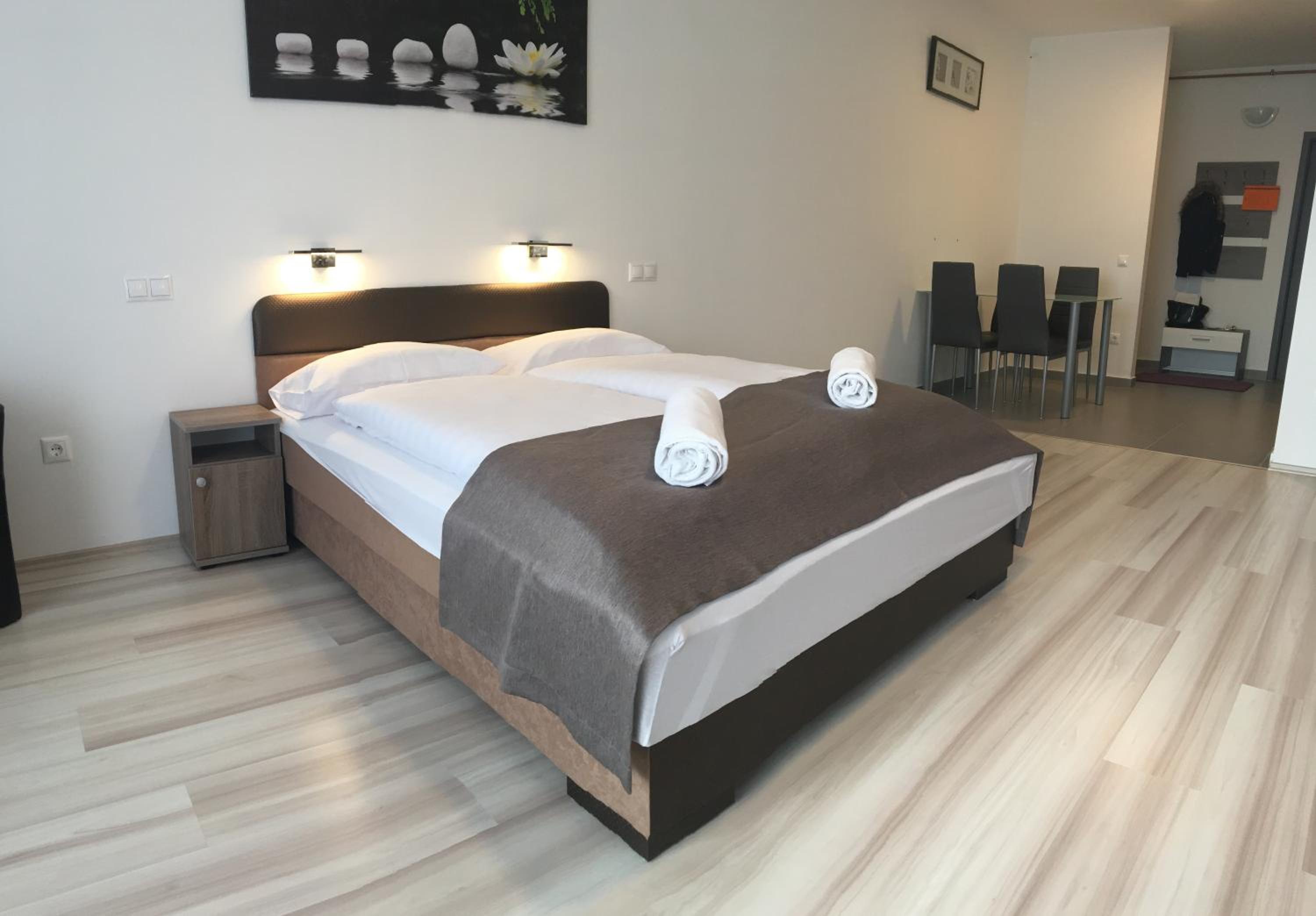 F&M Apartman view 5
