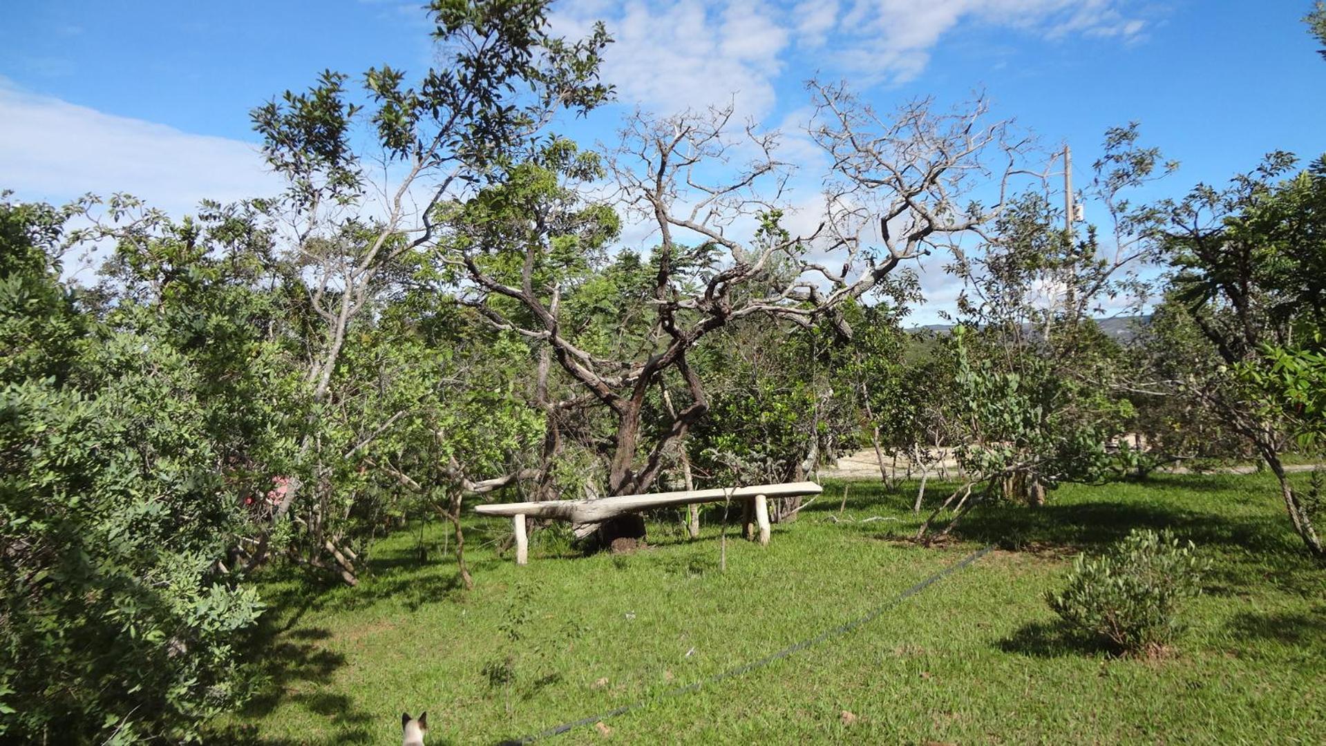 Mirante do Vale