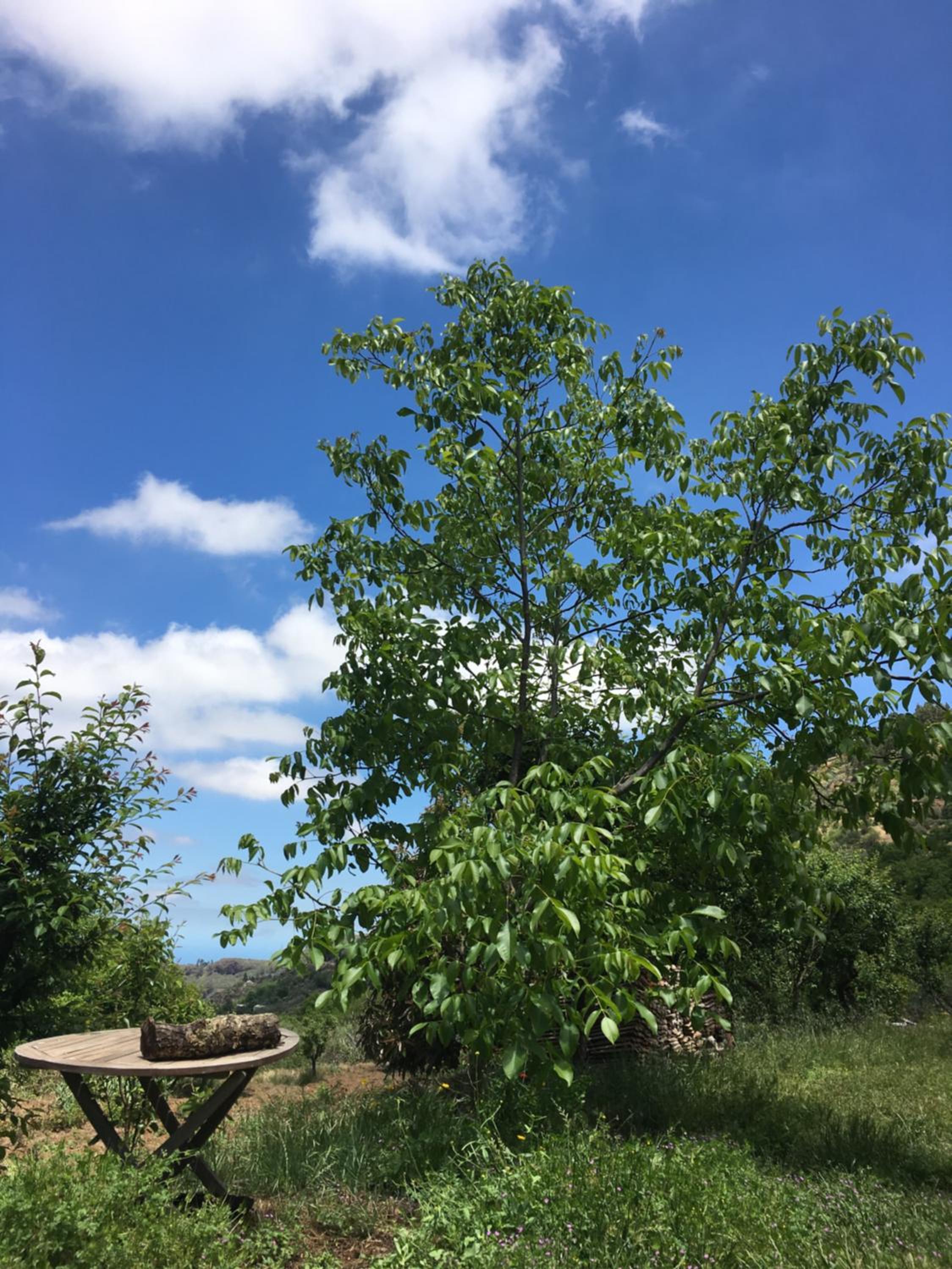 Photo 48