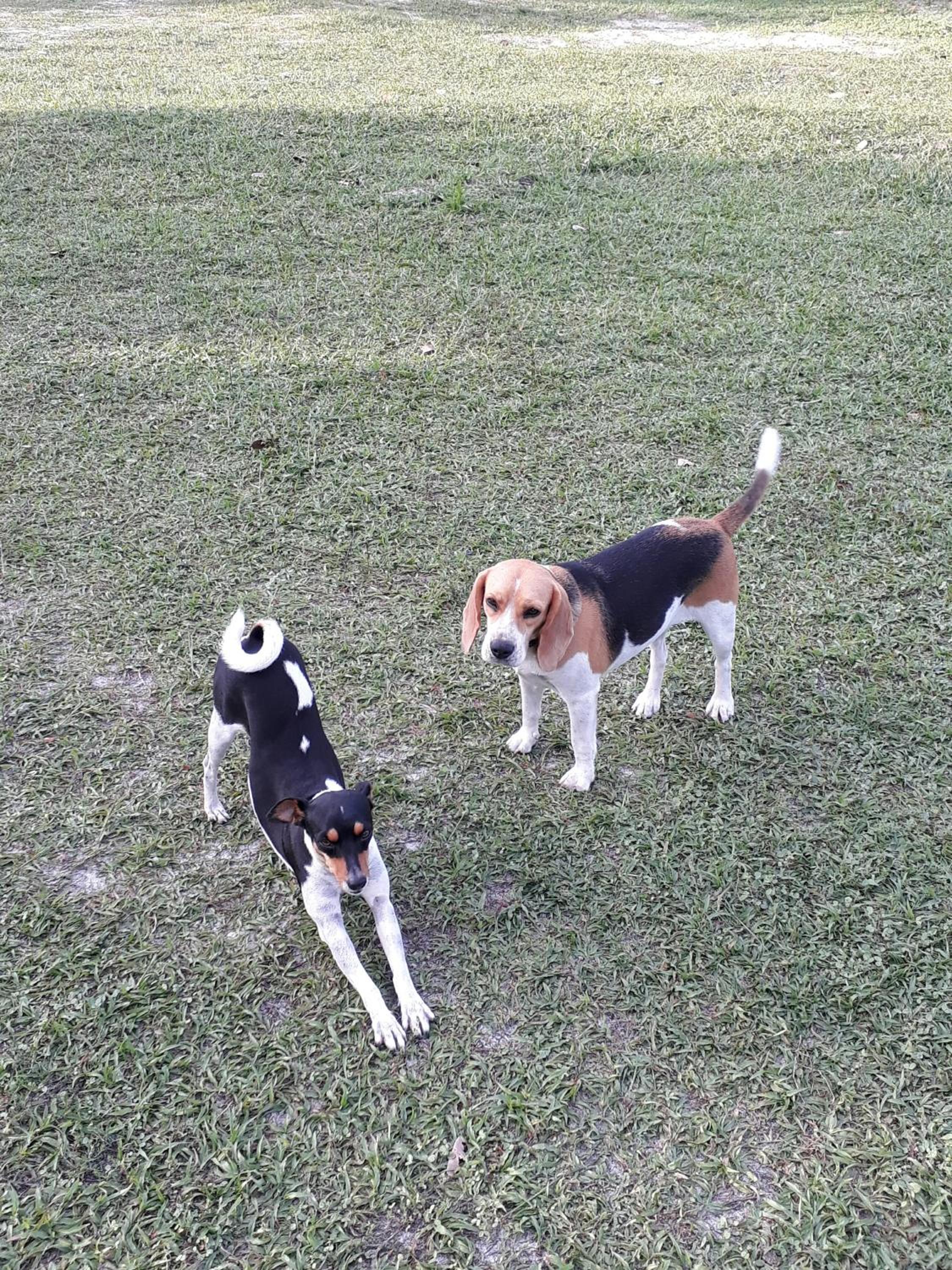 Photo 46