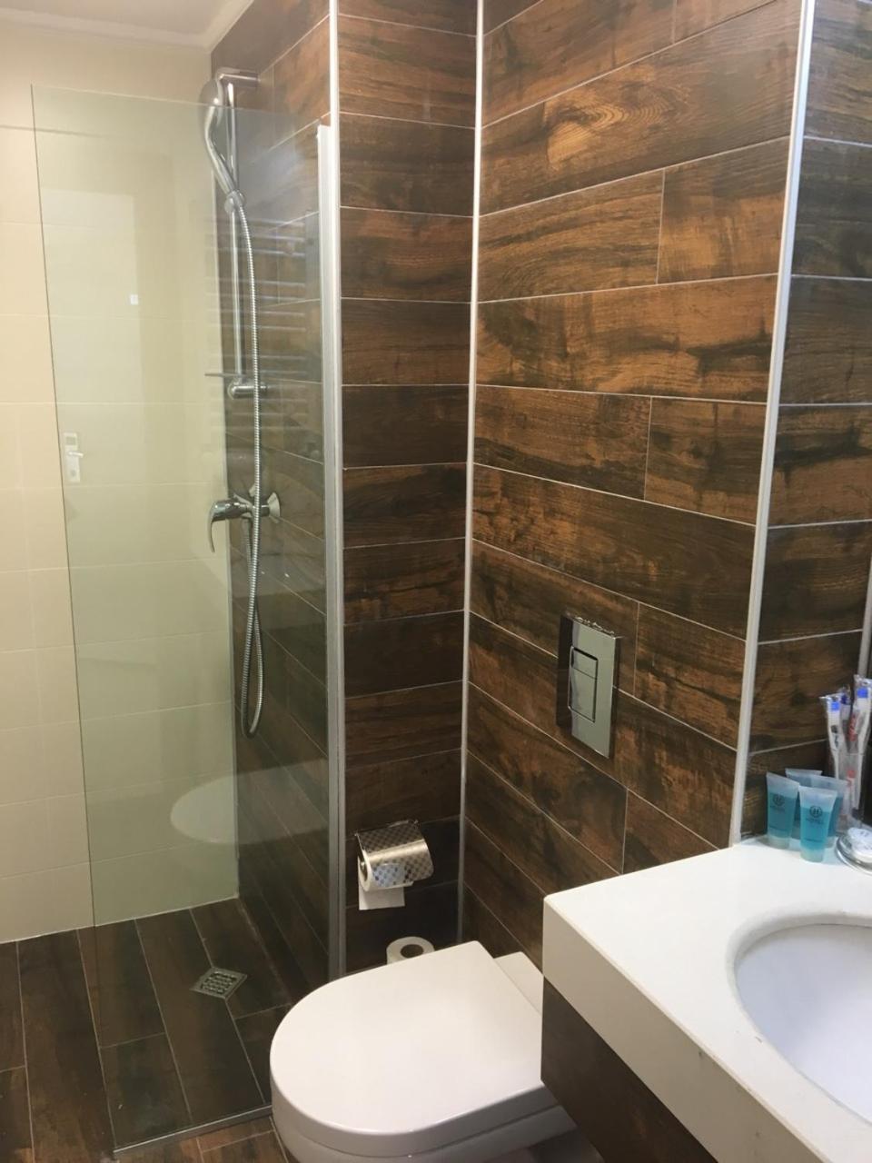Orbi Bakuriani Apartment view 4