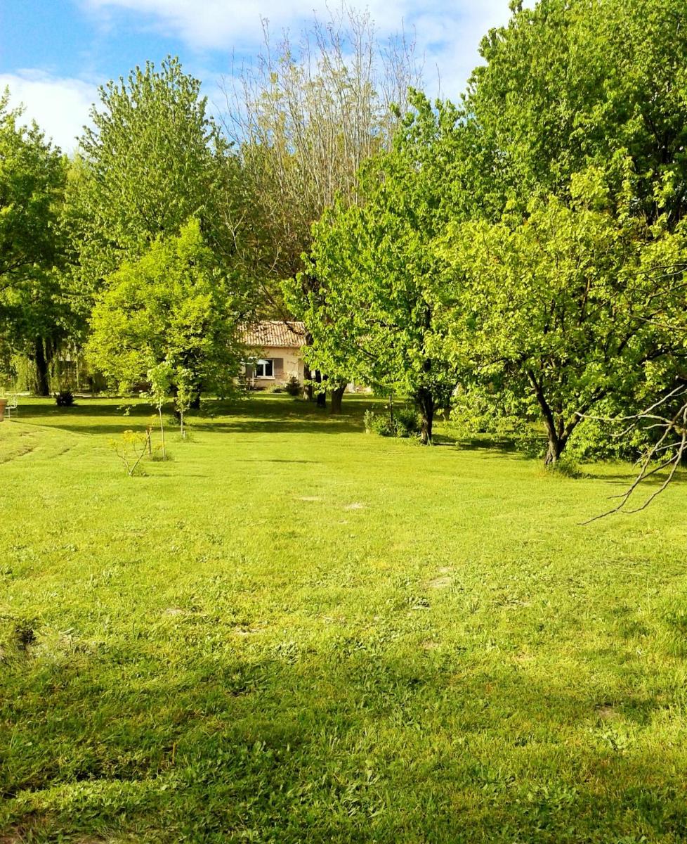 Photo 47