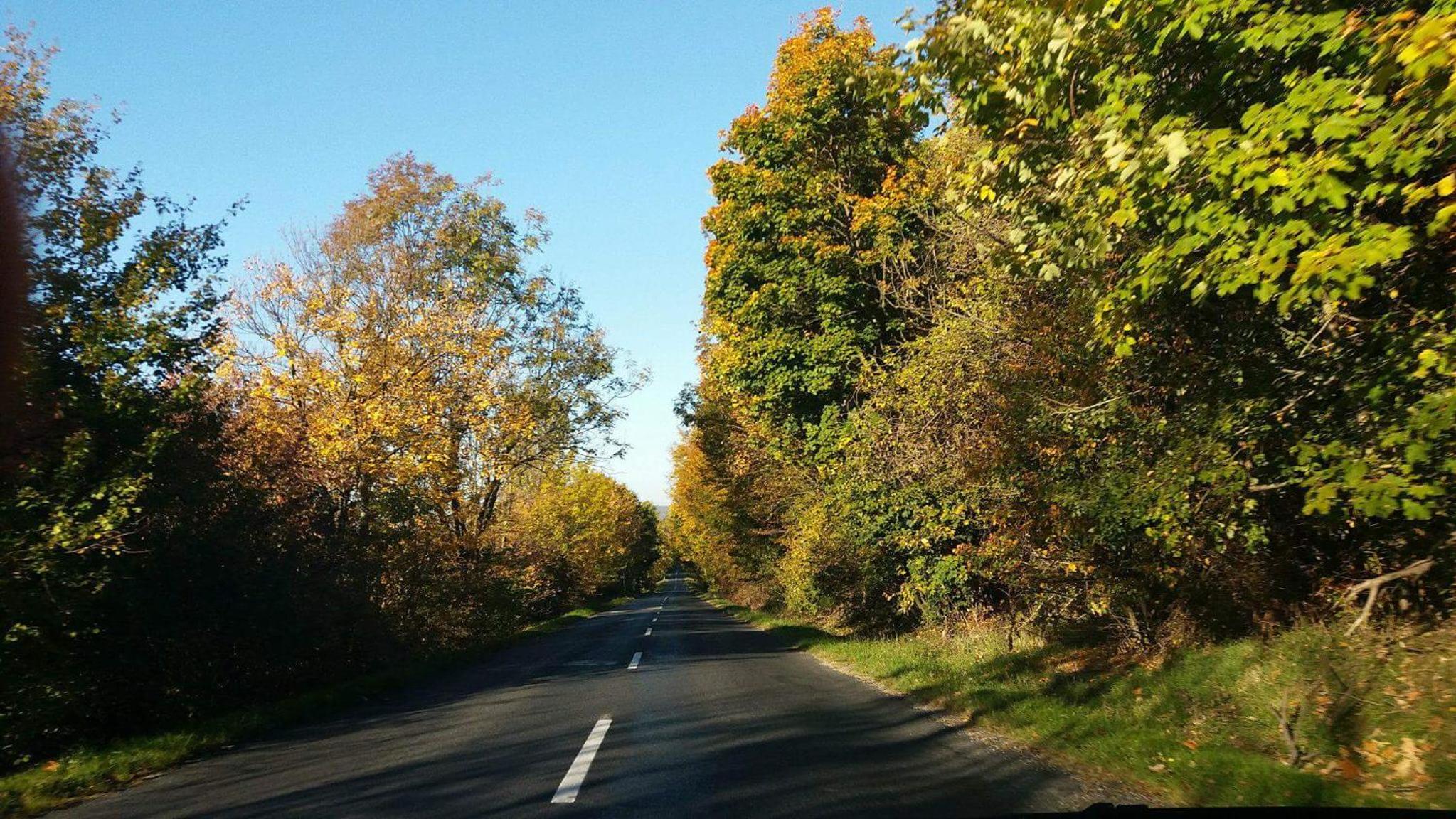 Photo 26
