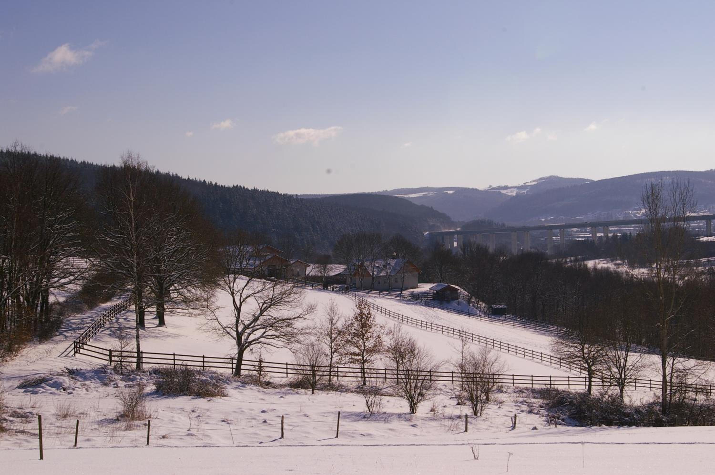 Reiterhof und Pension Eichenhof