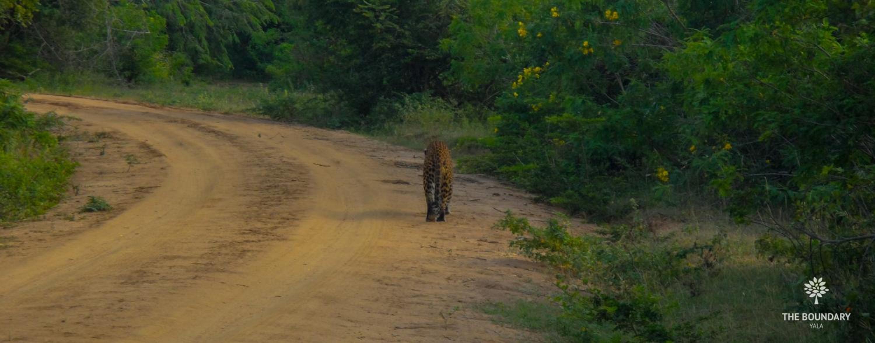 The Boundary Yala
