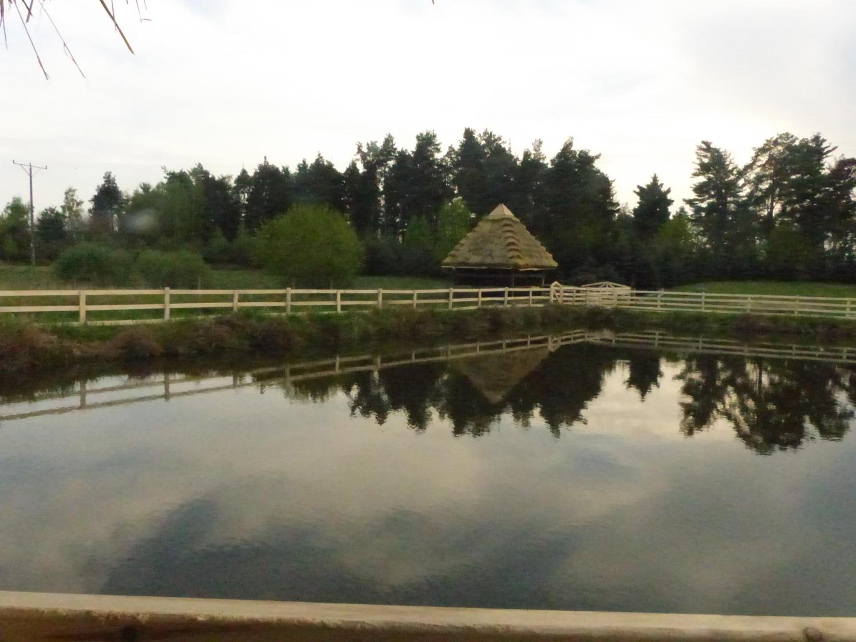 Photo 42