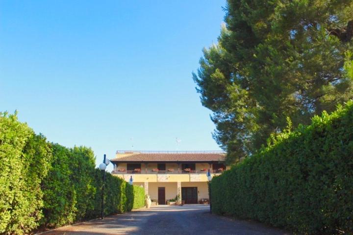 Gli Allori - Fuga dalla città