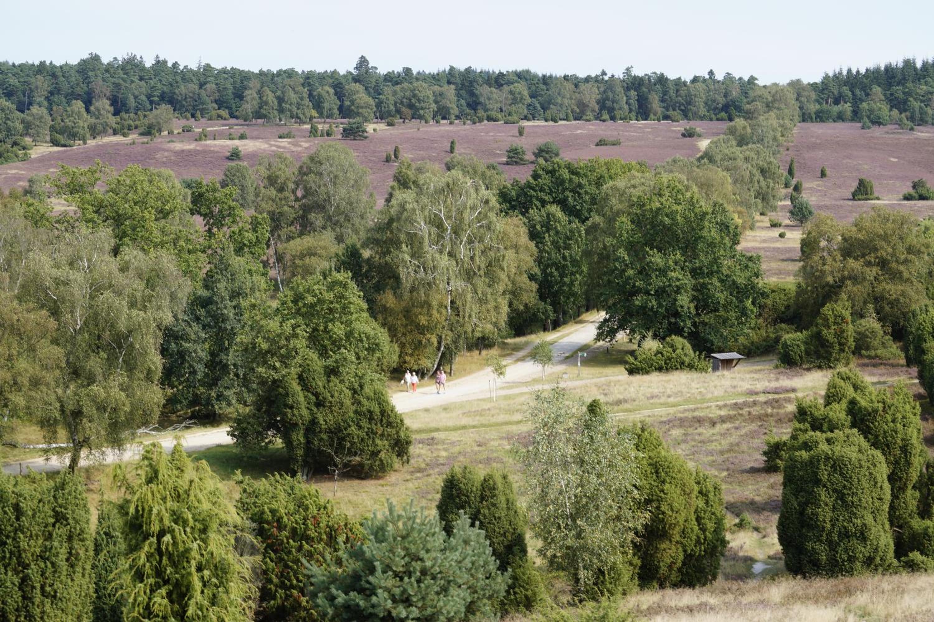 Photo 43